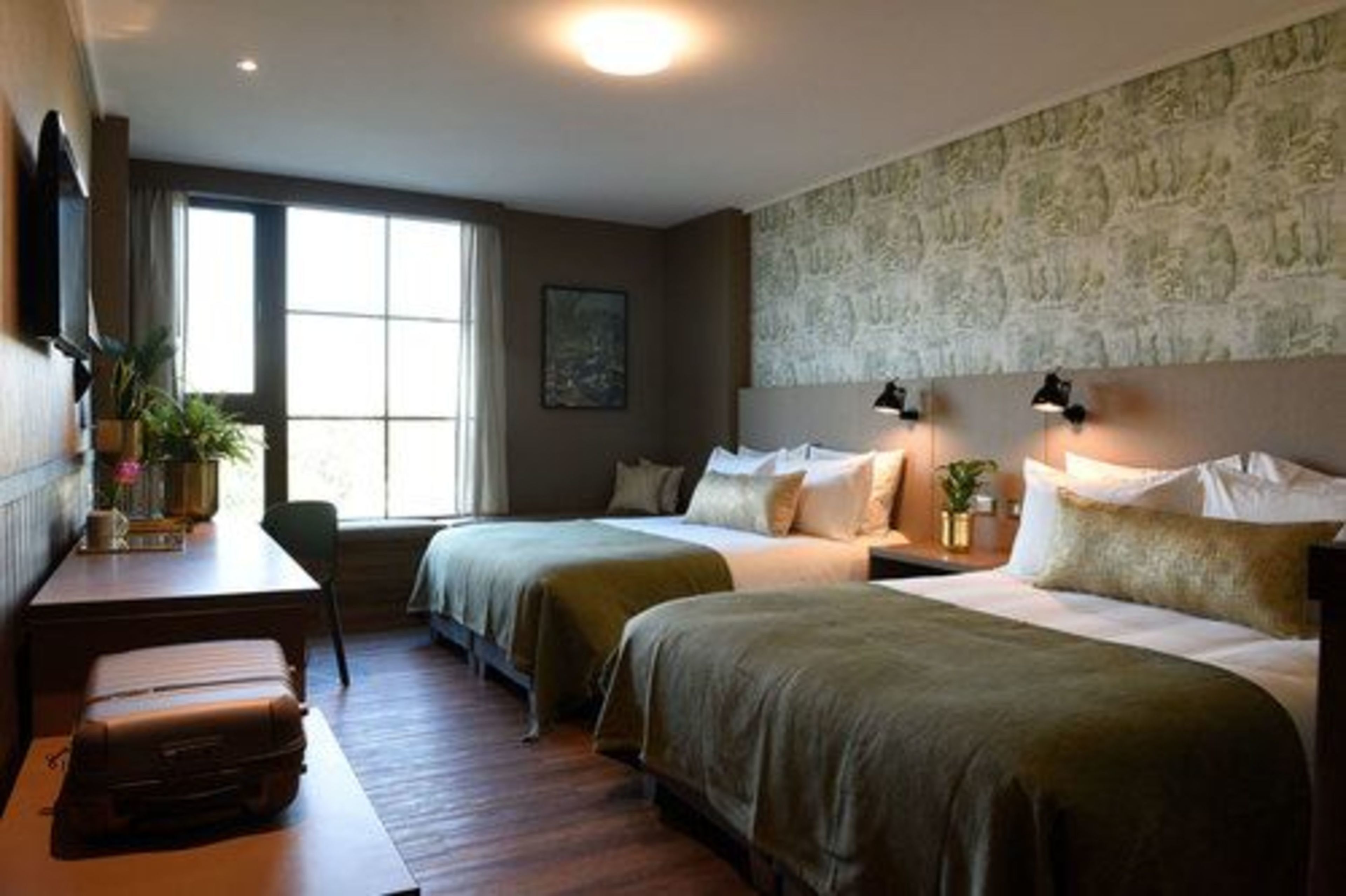 Hotel Eco Boutique Bidasoa Hotel Eco Boutique Bidasoa