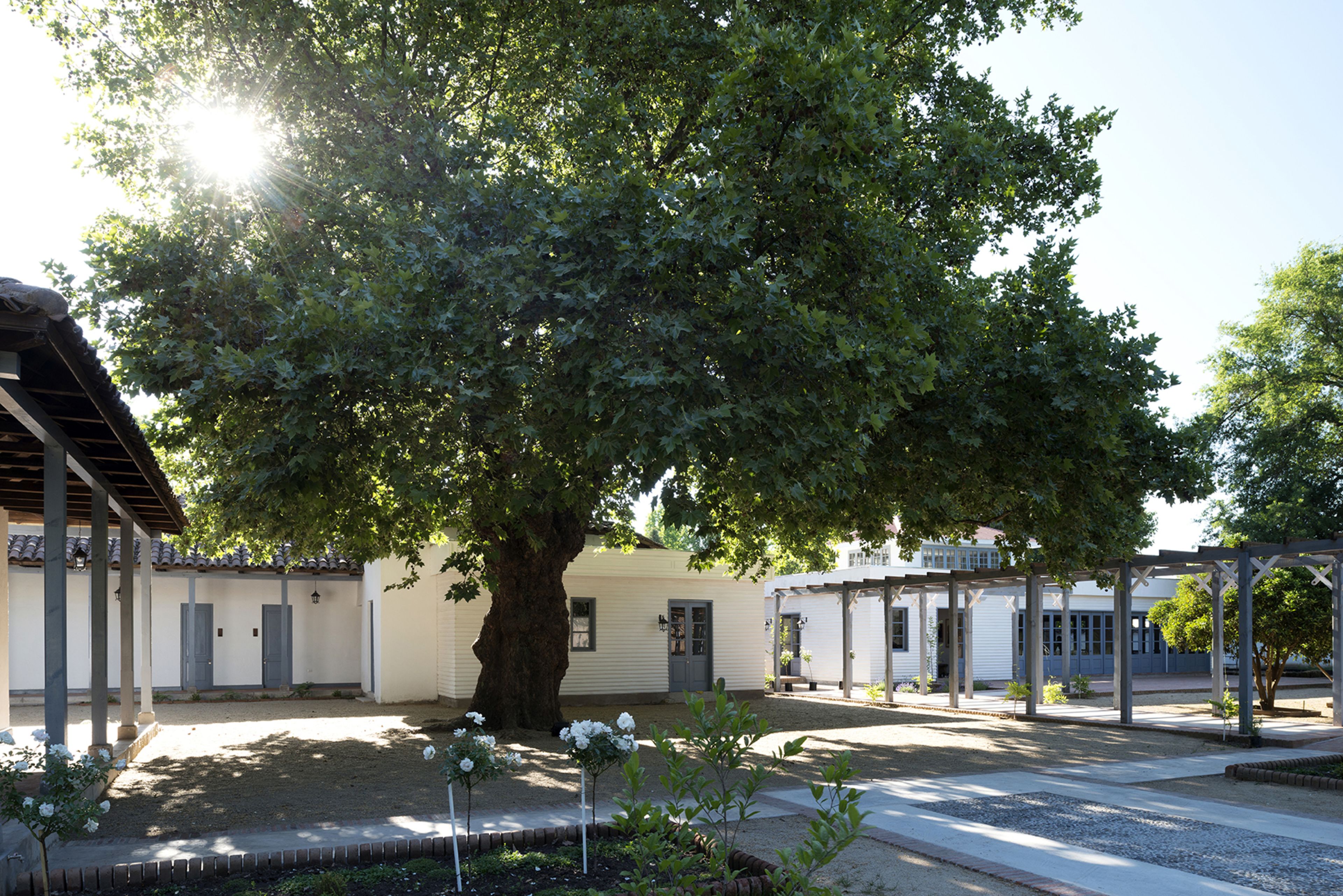 NOI Blend Colchagua NOI Blend Colchagua