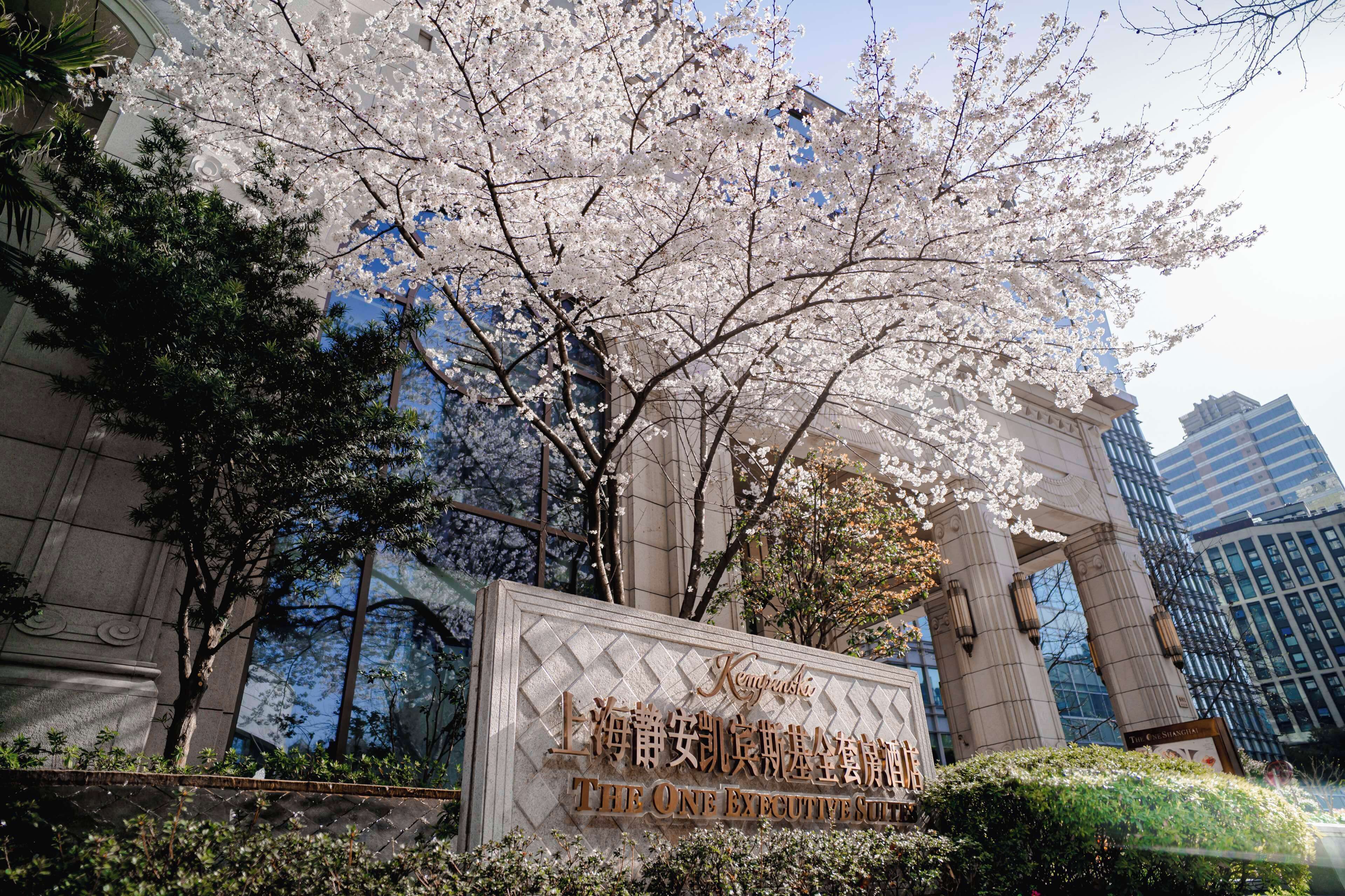 Kempinski The One Suites Hotel Shanghai Downtown Kempinski The One Suites Hotel Shanghai Downtown