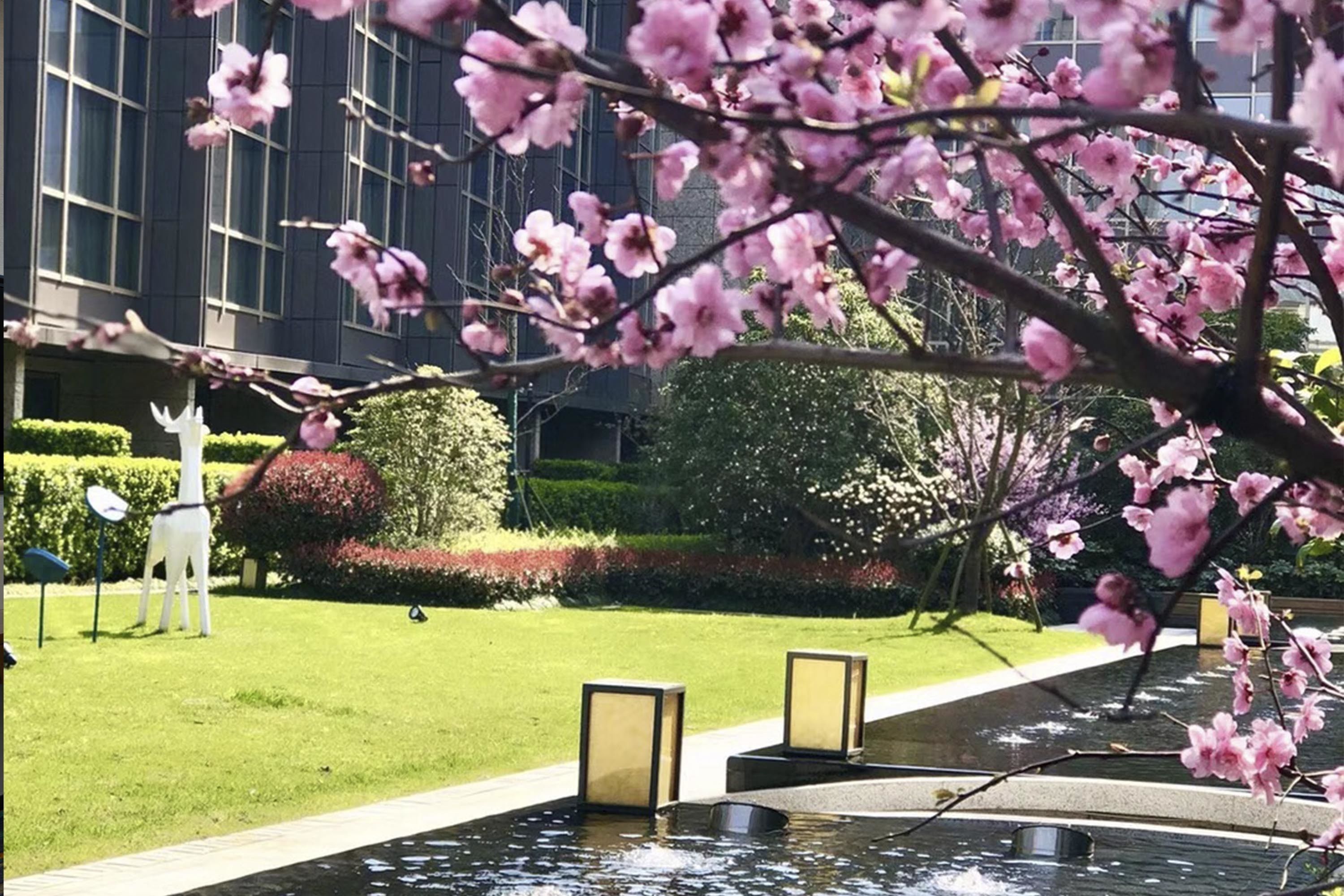 Sheraton Shanghai Chongming Hotel Sheraton Shanghai Chongming Hotel