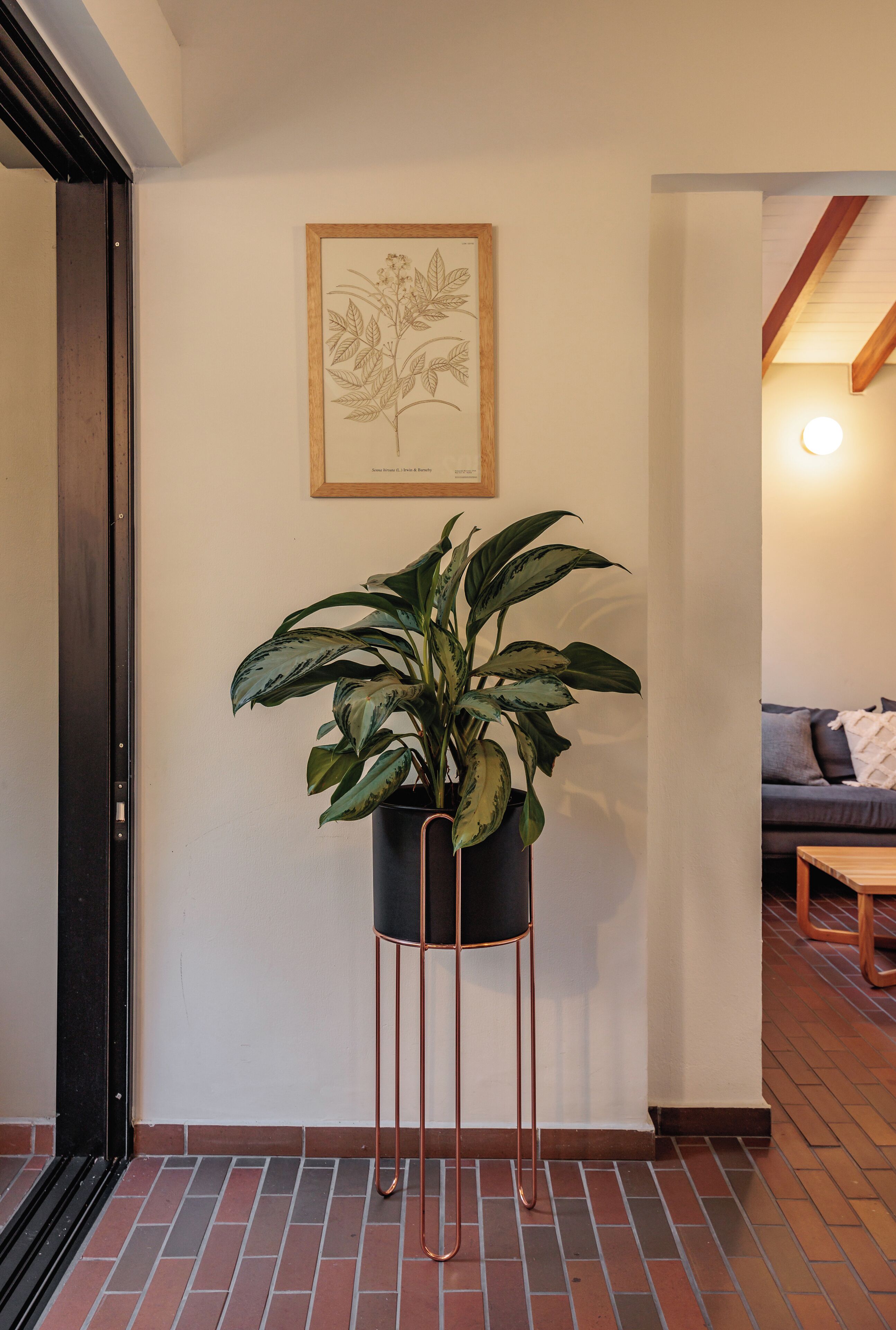 The Somos Flats Laureles