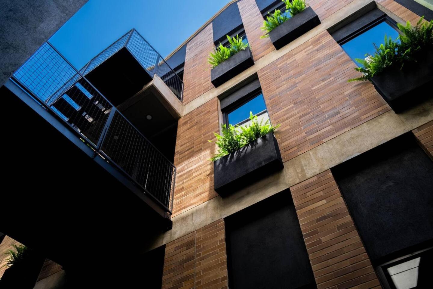 The Somos Flats Laureles