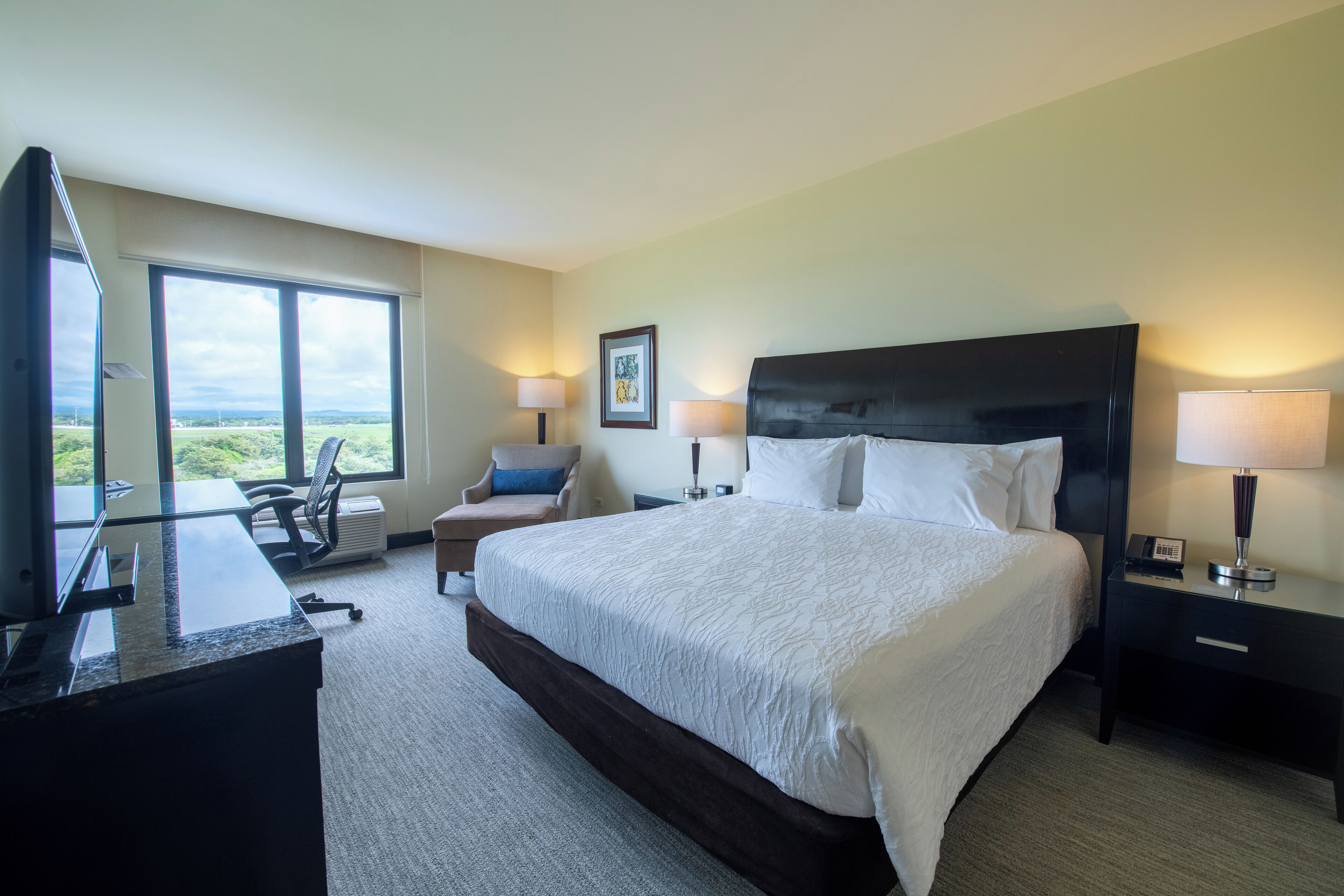 Hilton Garden Inn Guanacaste Airport Hilton Garden Inn Guanacaste Airport