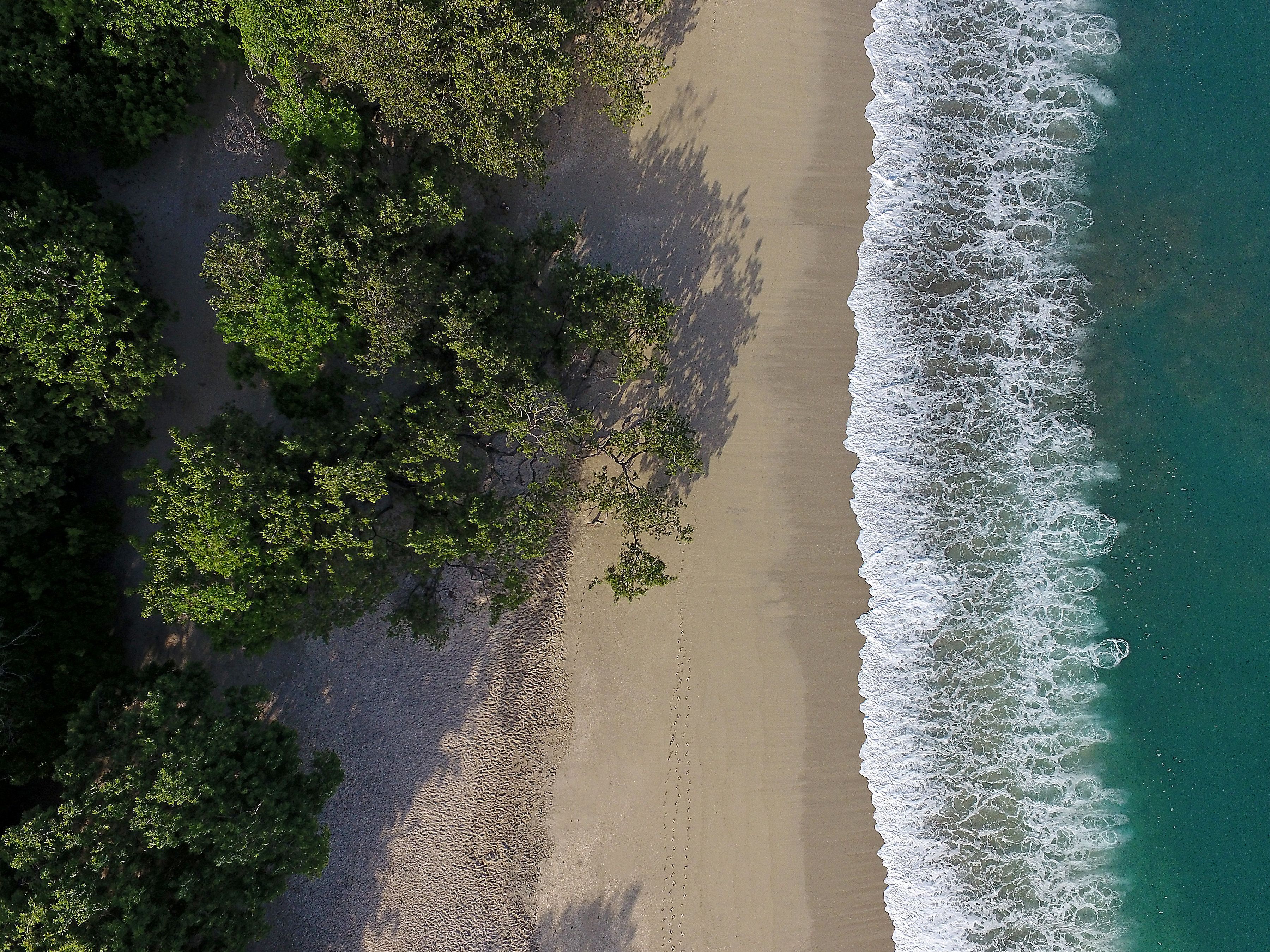 W Costa Rica Reserva Conchal W Costa Rica Reserva Conchal