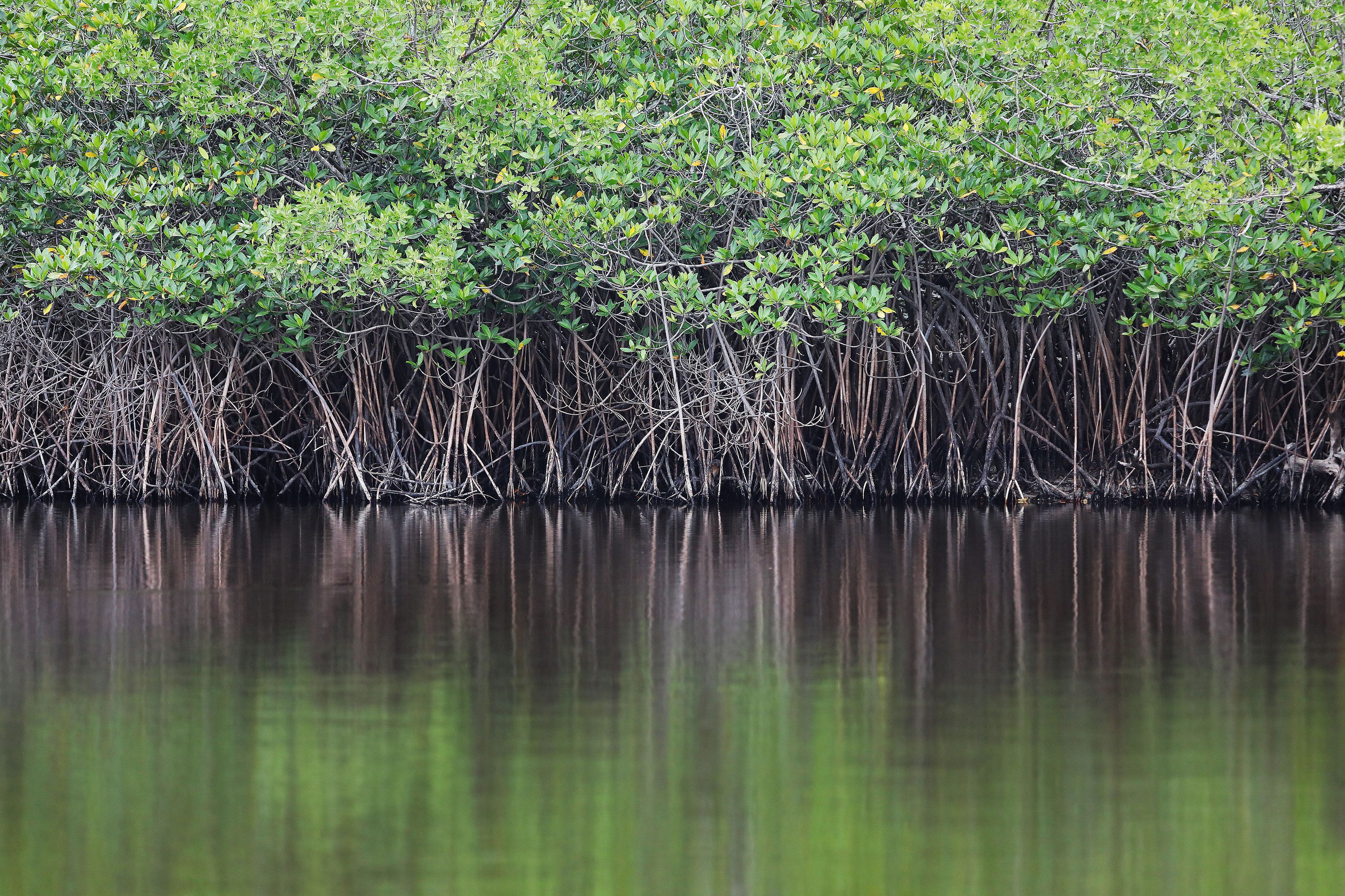 W Costa Rica Reserva Conchal W Costa Rica Reserva Conchal