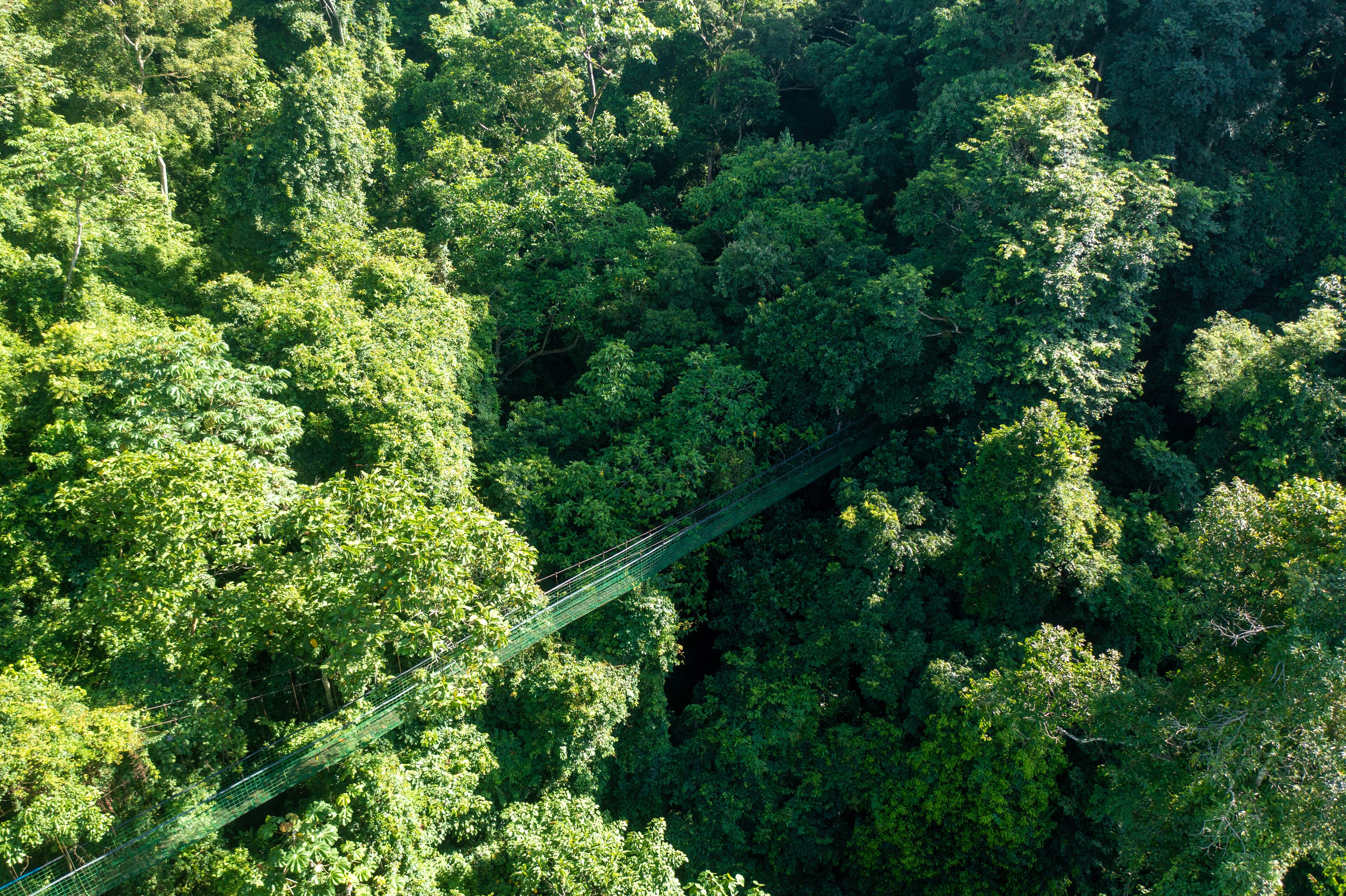 Santa Lucia Jungle Hacienda, Autograph Collection Santa Lucia Jungle Hacienda, Autograph Collection