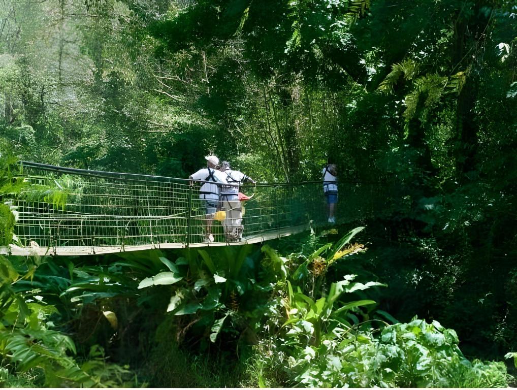 Santa Lucia Jungle Hacienda, Autograph Collection Santa Lucia Jungle Hacienda, Autograph Collection