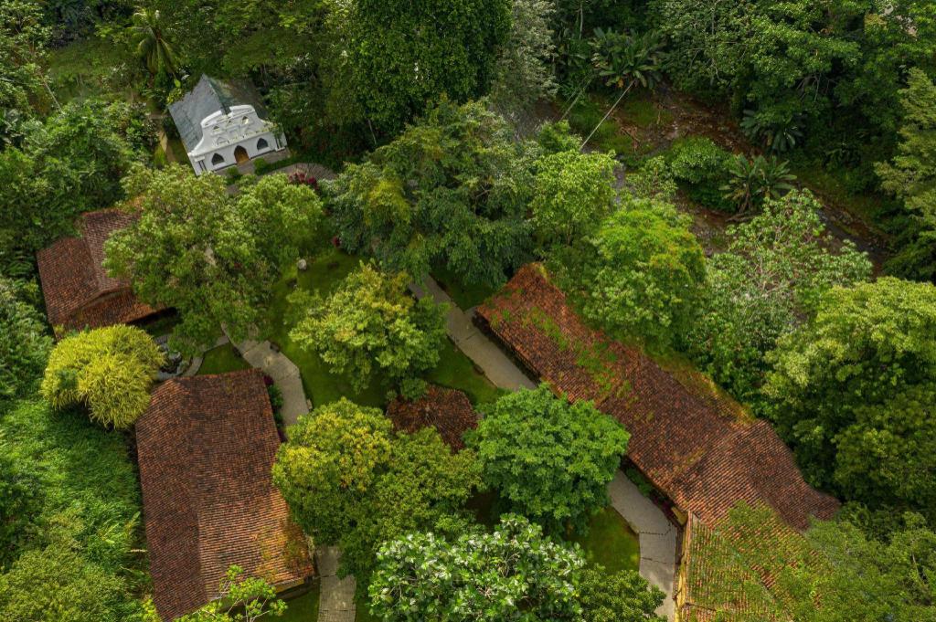 Santa Lucia Jungle Hacienda, Autograph Collection Santa Lucia Jungle Hacienda, Autograph Collection