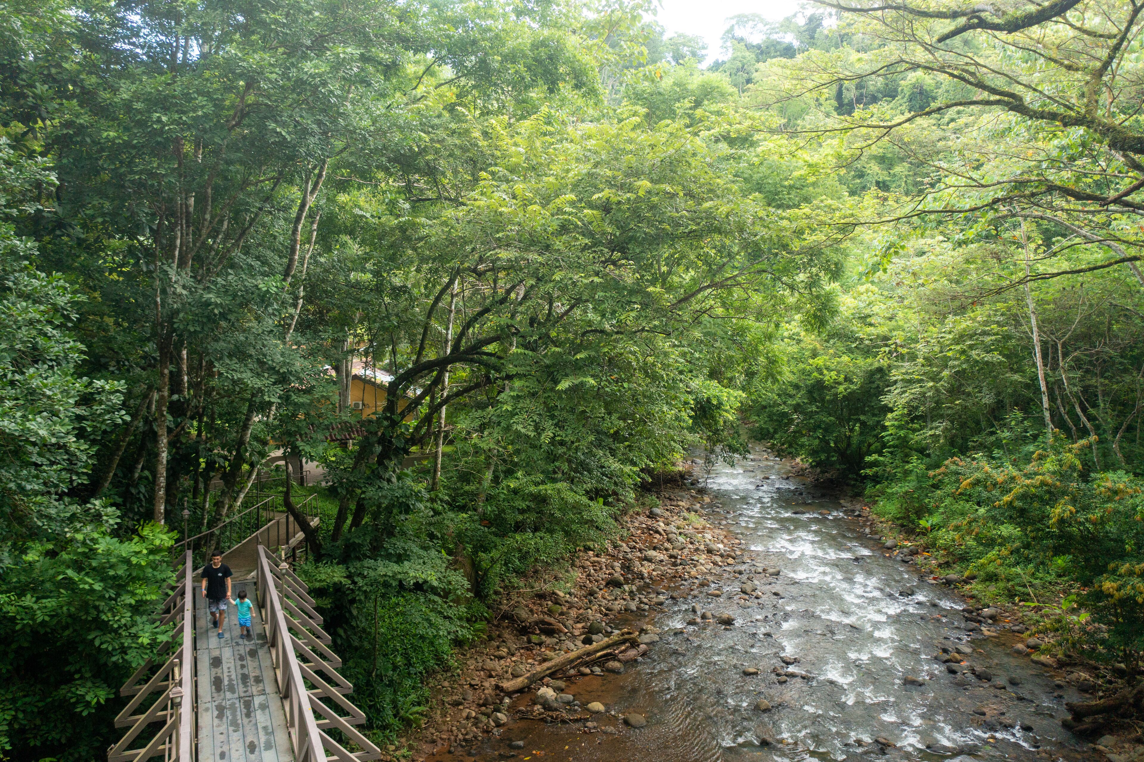 Santa Lucia Jungle Hacienda, Autograph Collection Santa Lucia Jungle Hacienda, Autograph Collection
