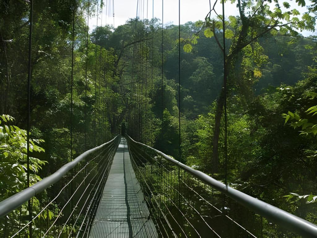 Santa Lucia Jungle Hacienda, Autograph Collection Santa Lucia Jungle Hacienda, Autograph Collection