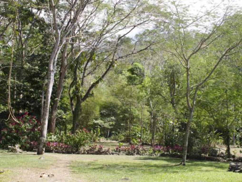 Santa Lucia Jungle Hacienda, Autograph Collection Santa Lucia Jungle Hacienda, Autograph Collection