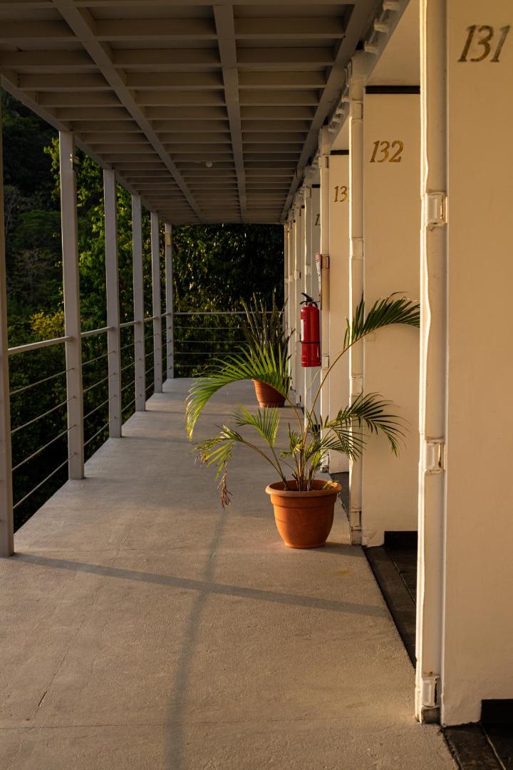 El Faro Beach Hotel El Faro Beach Hotel