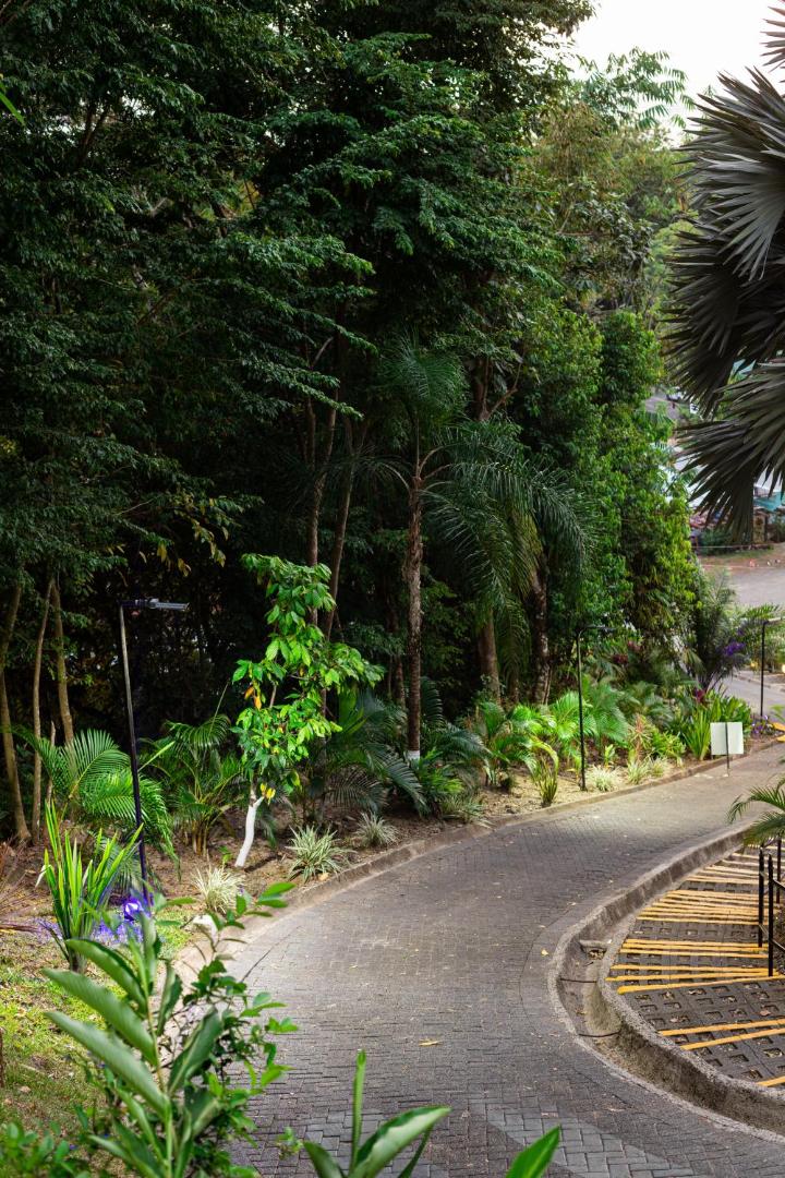 El Faro Beach Hotel El Faro Beach Hotel