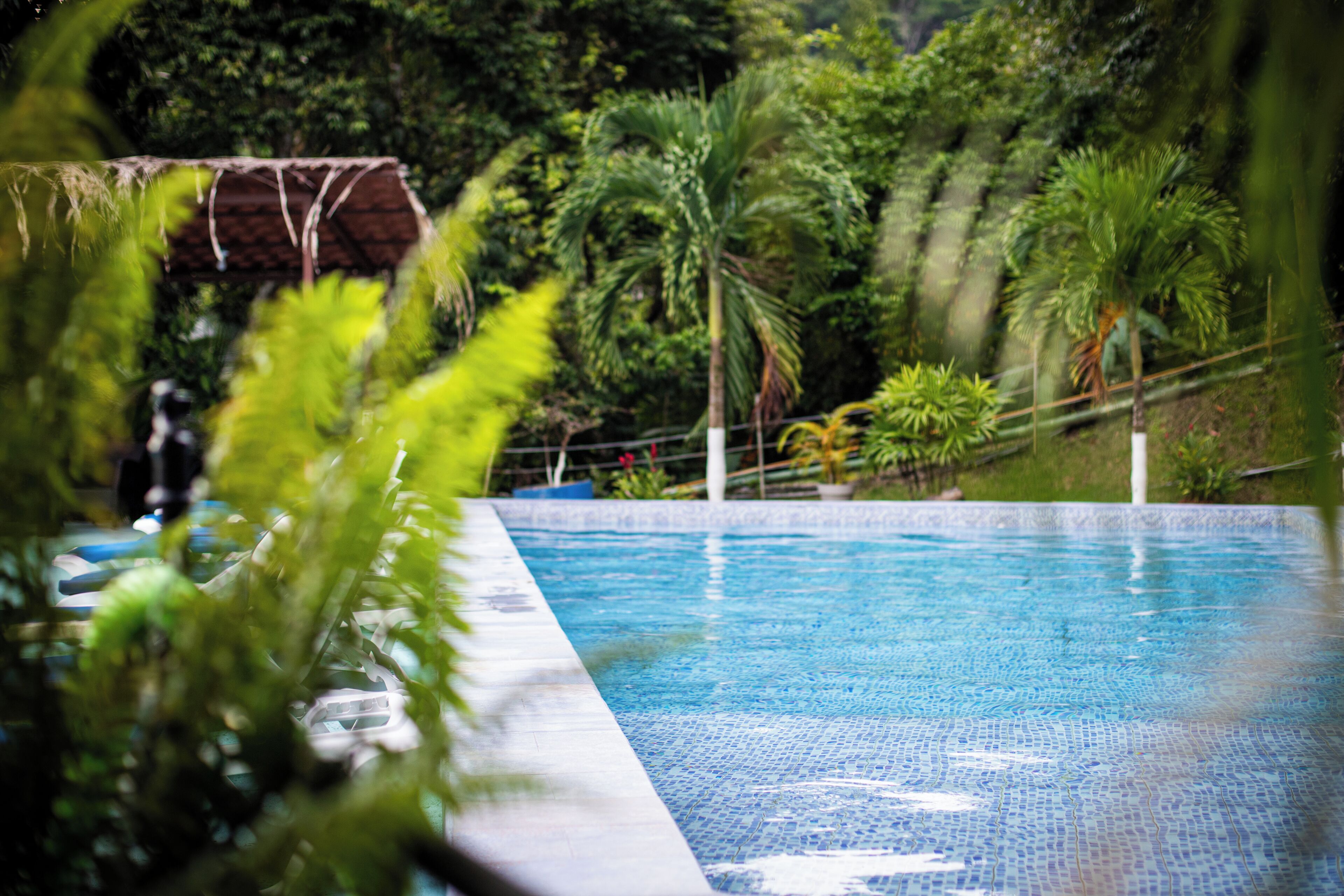 El Faro Beach Hotel El Faro Beach Hotel