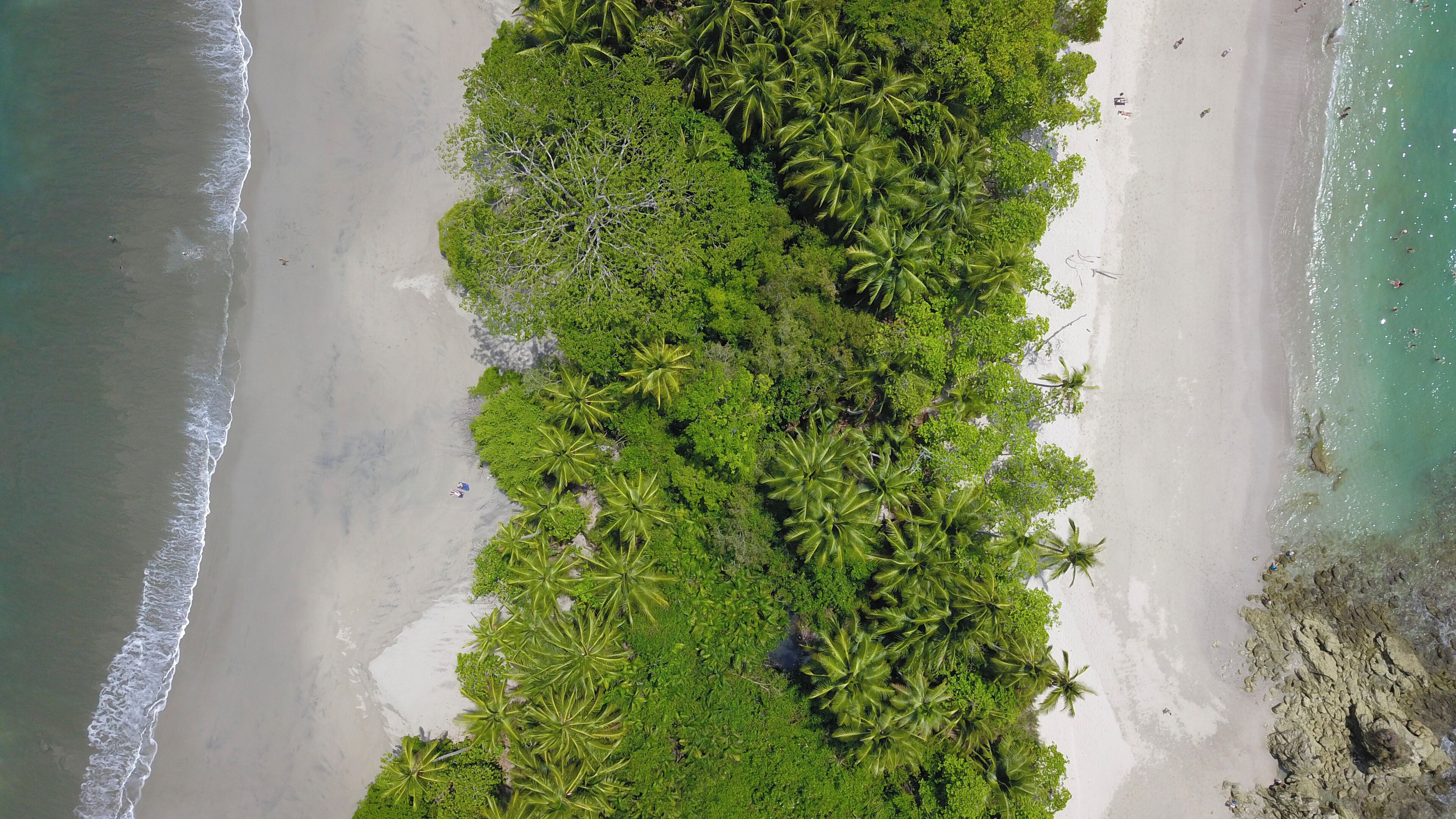 El Faro Beach Hotel El Faro Beach Hotel