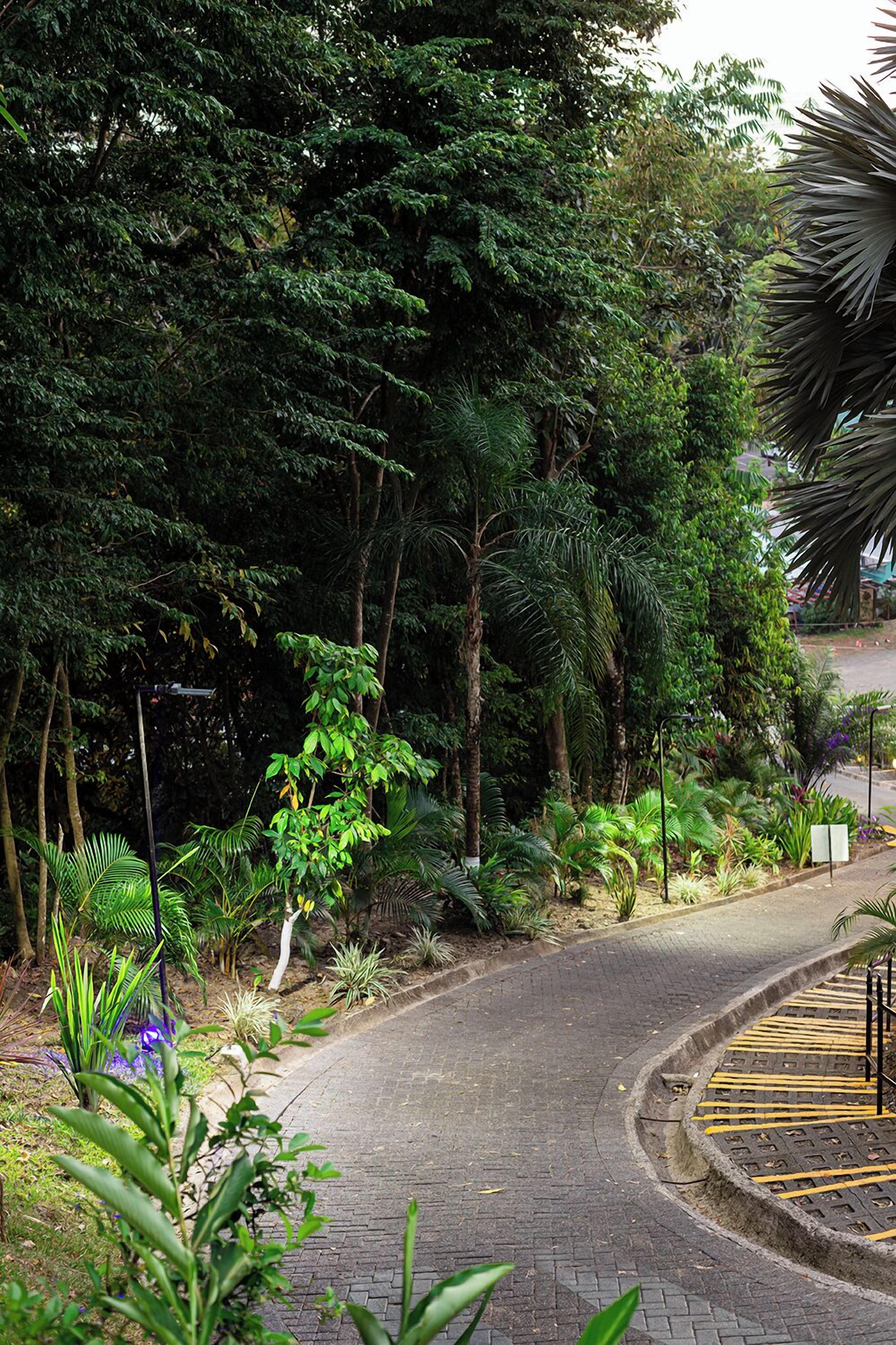 El Faro Beach Hotel El Faro Beach Hotel