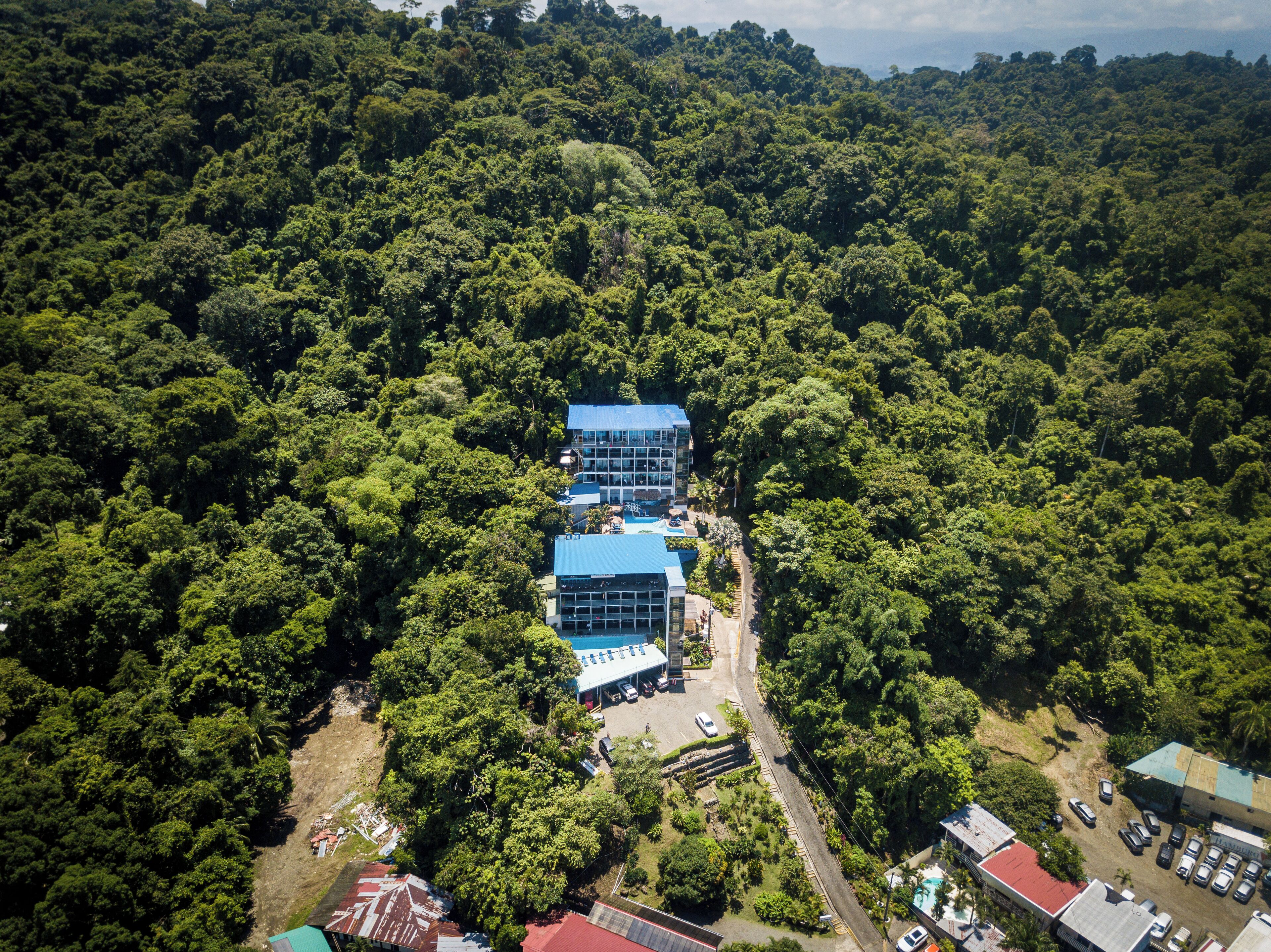 El Faro Beach Hotel El Faro Beach Hotel