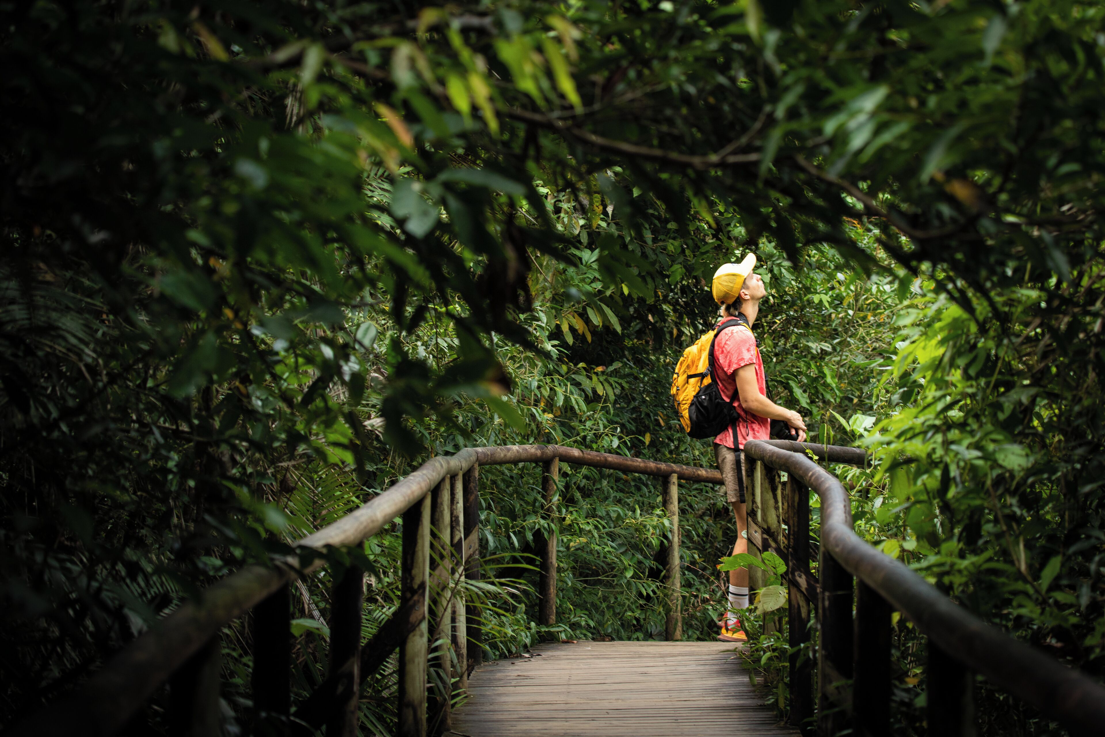El Faro Beach Hotel El Faro Beach Hotel