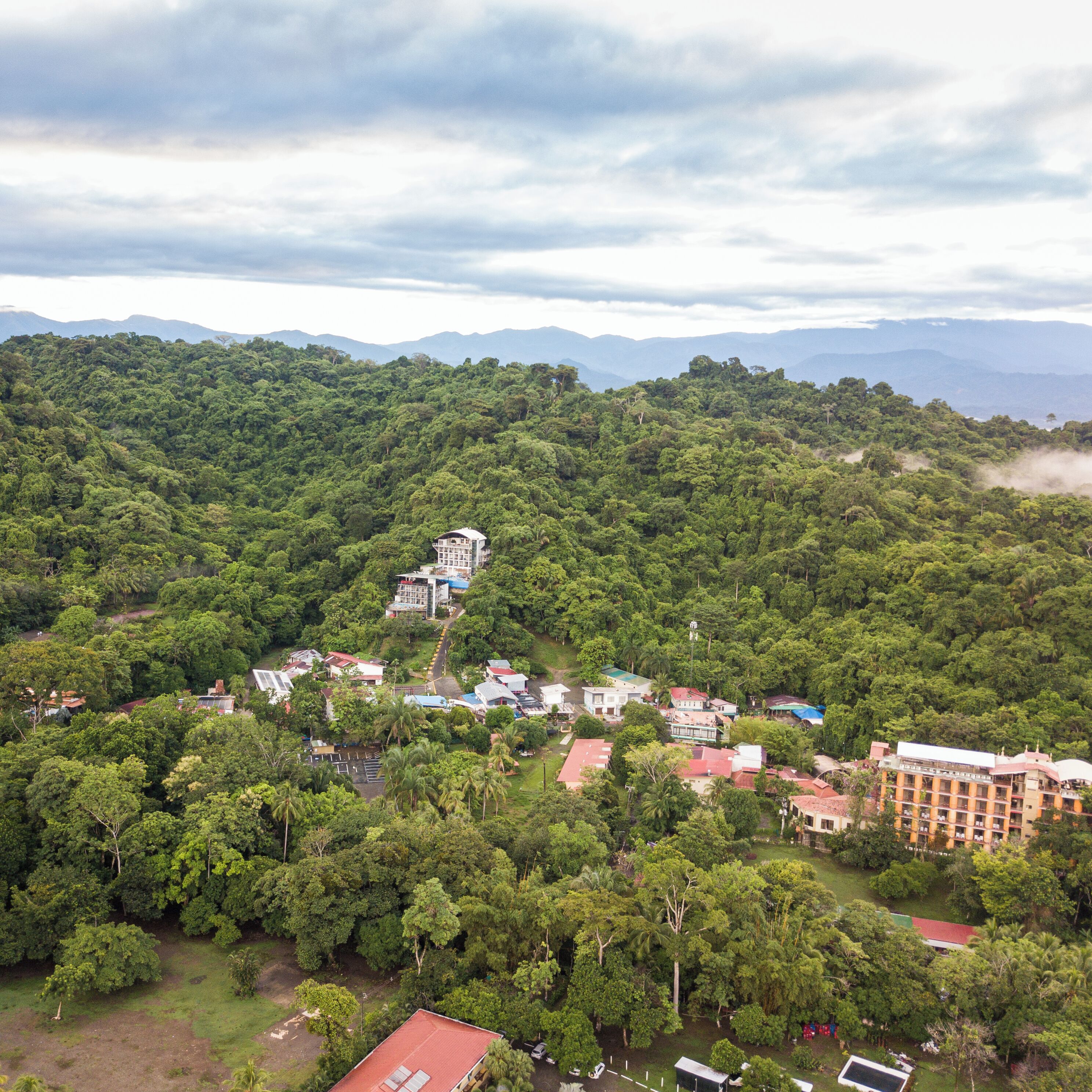El Faro Beach Hotel El Faro Beach Hotel