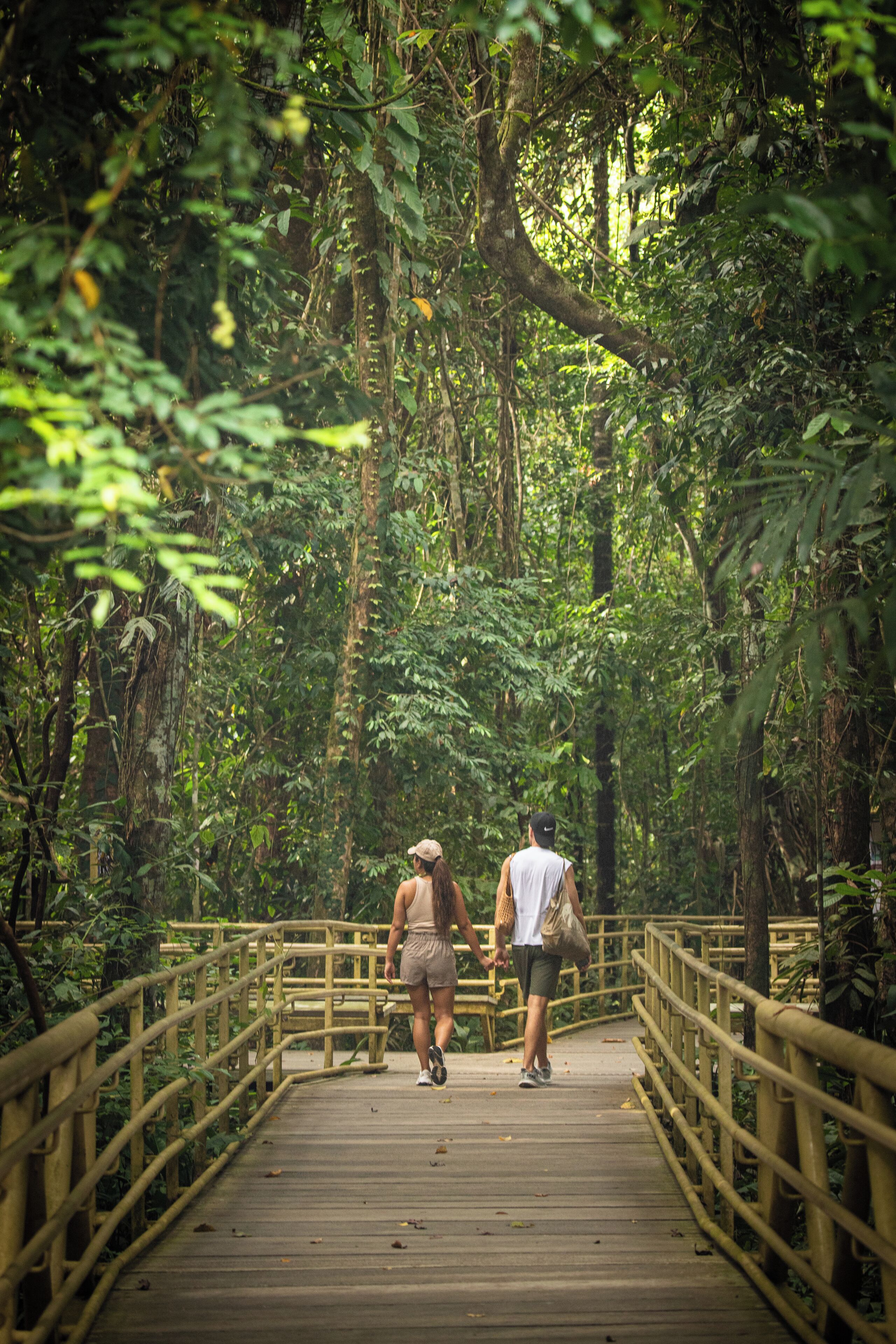 El Faro Beach Hotel El Faro Beach Hotel