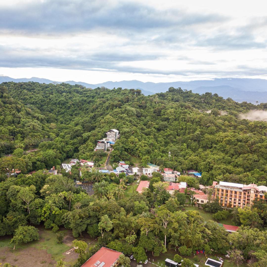 El Faro Beach Hotel El Faro Beach Hotel