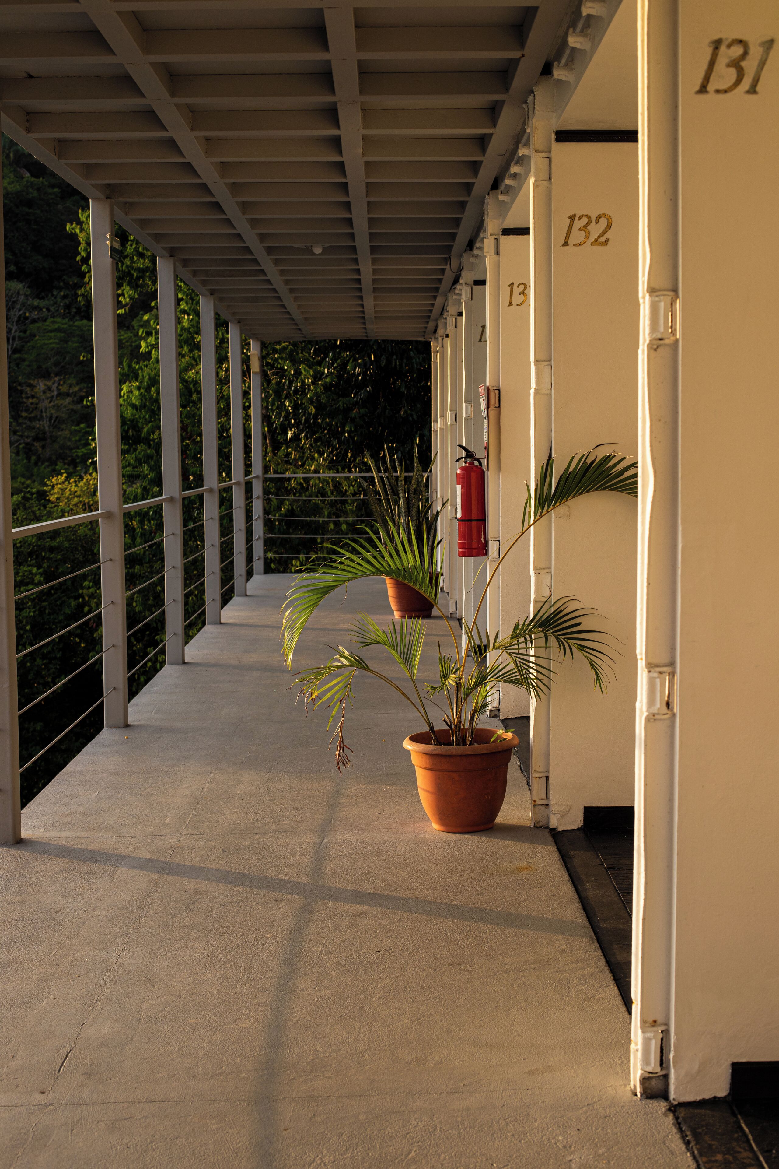 El Faro Beach Hotel El Faro Beach Hotel