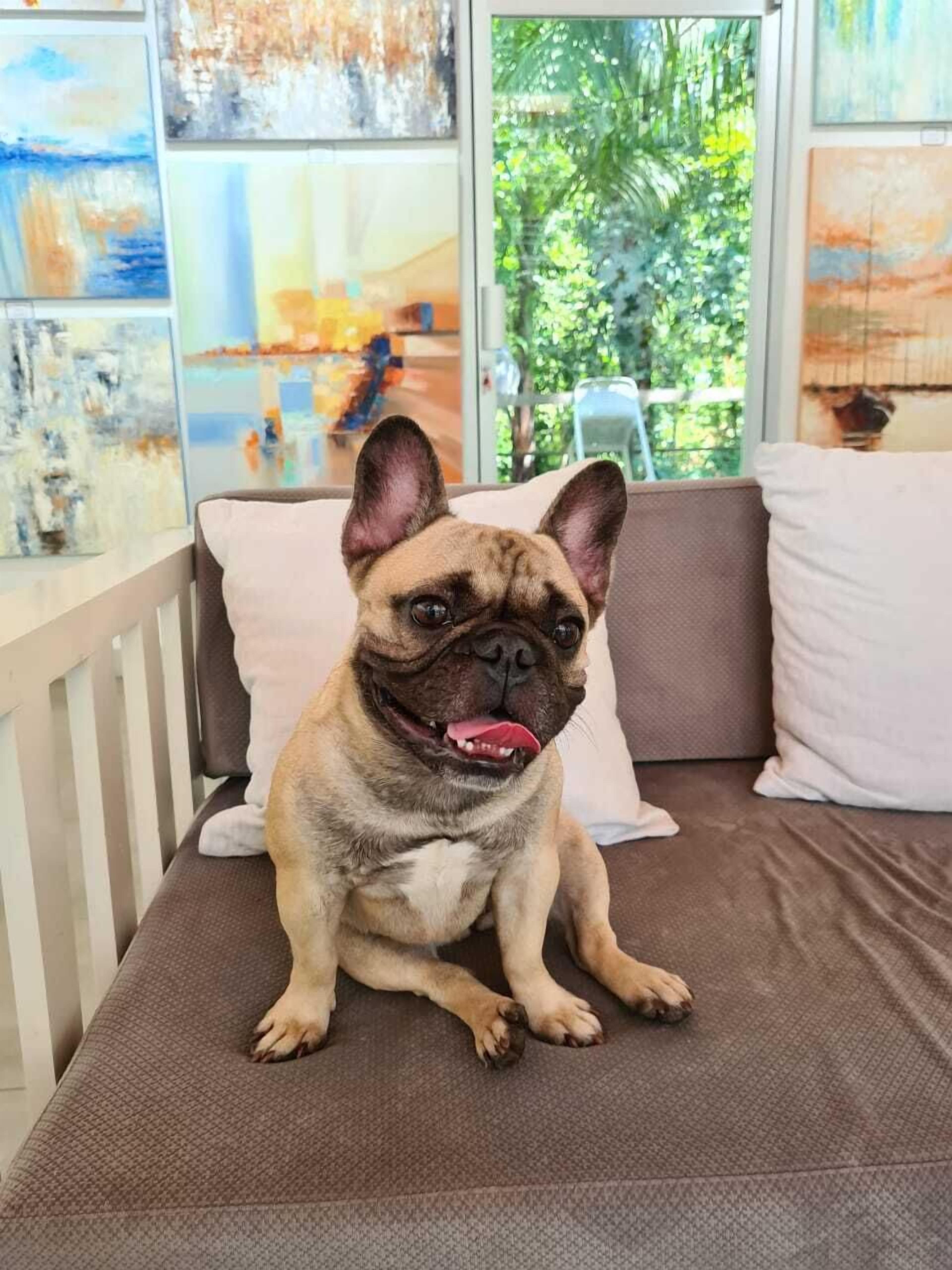 Hotel Plaza Yara Hotel Plaza Yara