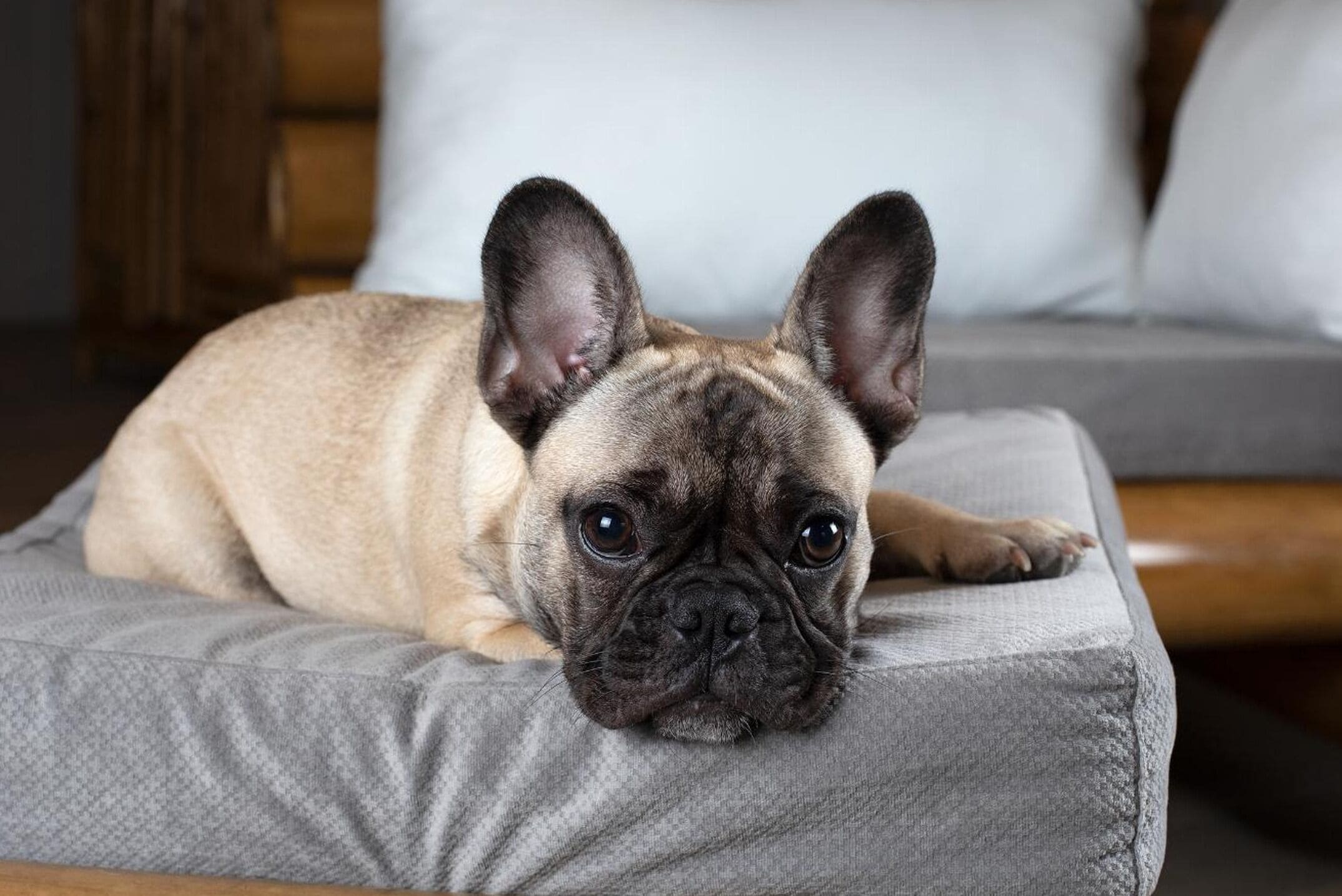 Hotel Plaza Yara Hotel Plaza Yara