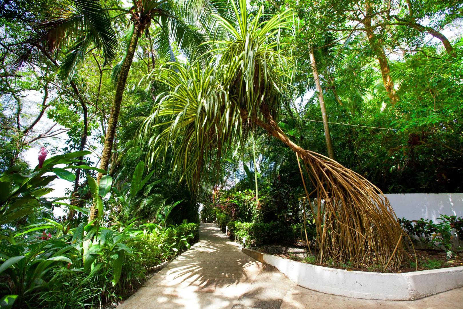 Makanda by The Sea Hotel Makanda by The Sea Hotel