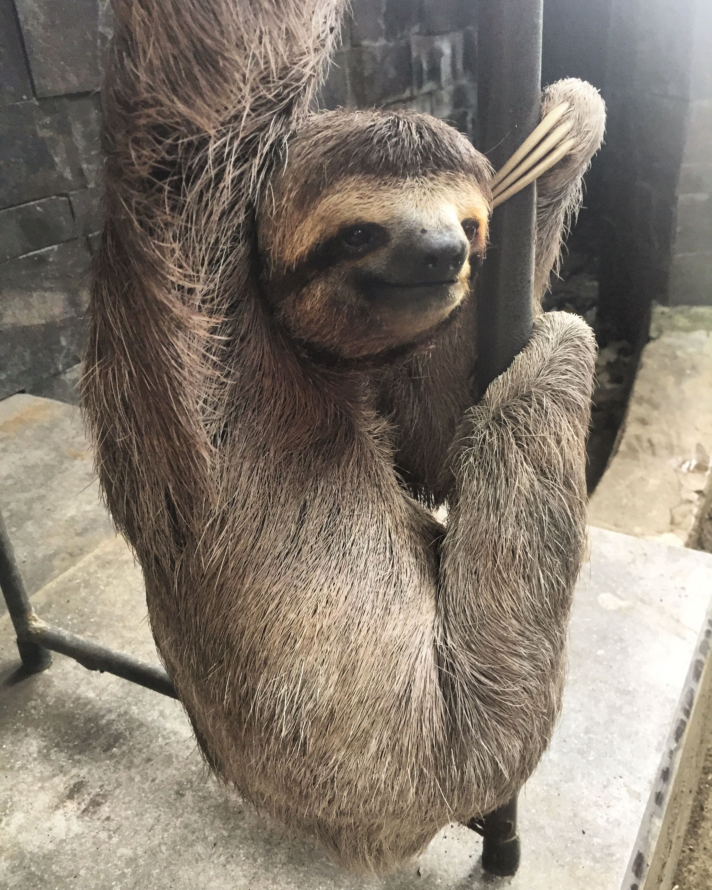 Makanda by The Sea Hotel Makanda by The Sea Hotel