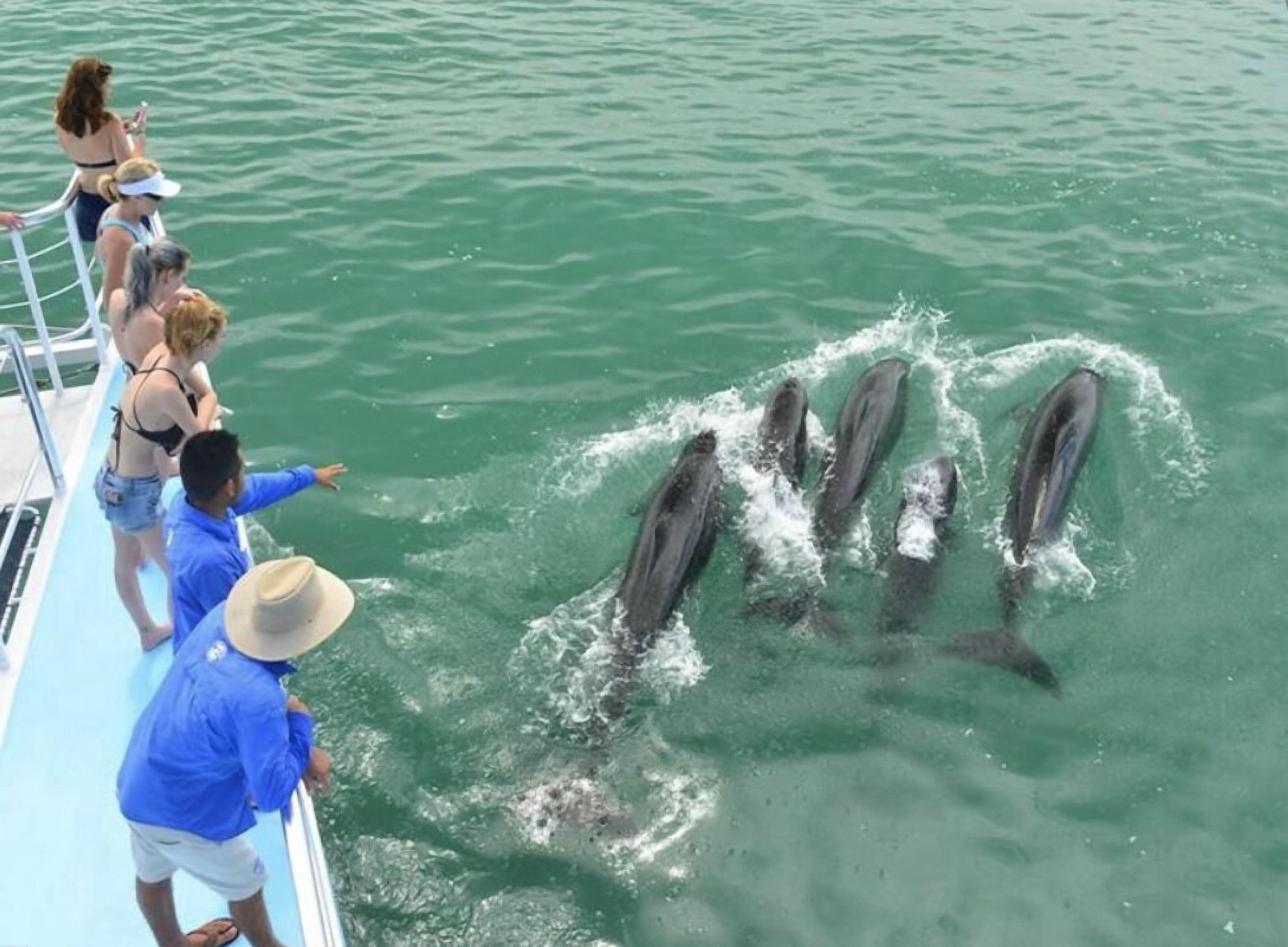 Makanda by The Sea Hotel Makanda by The Sea Hotel