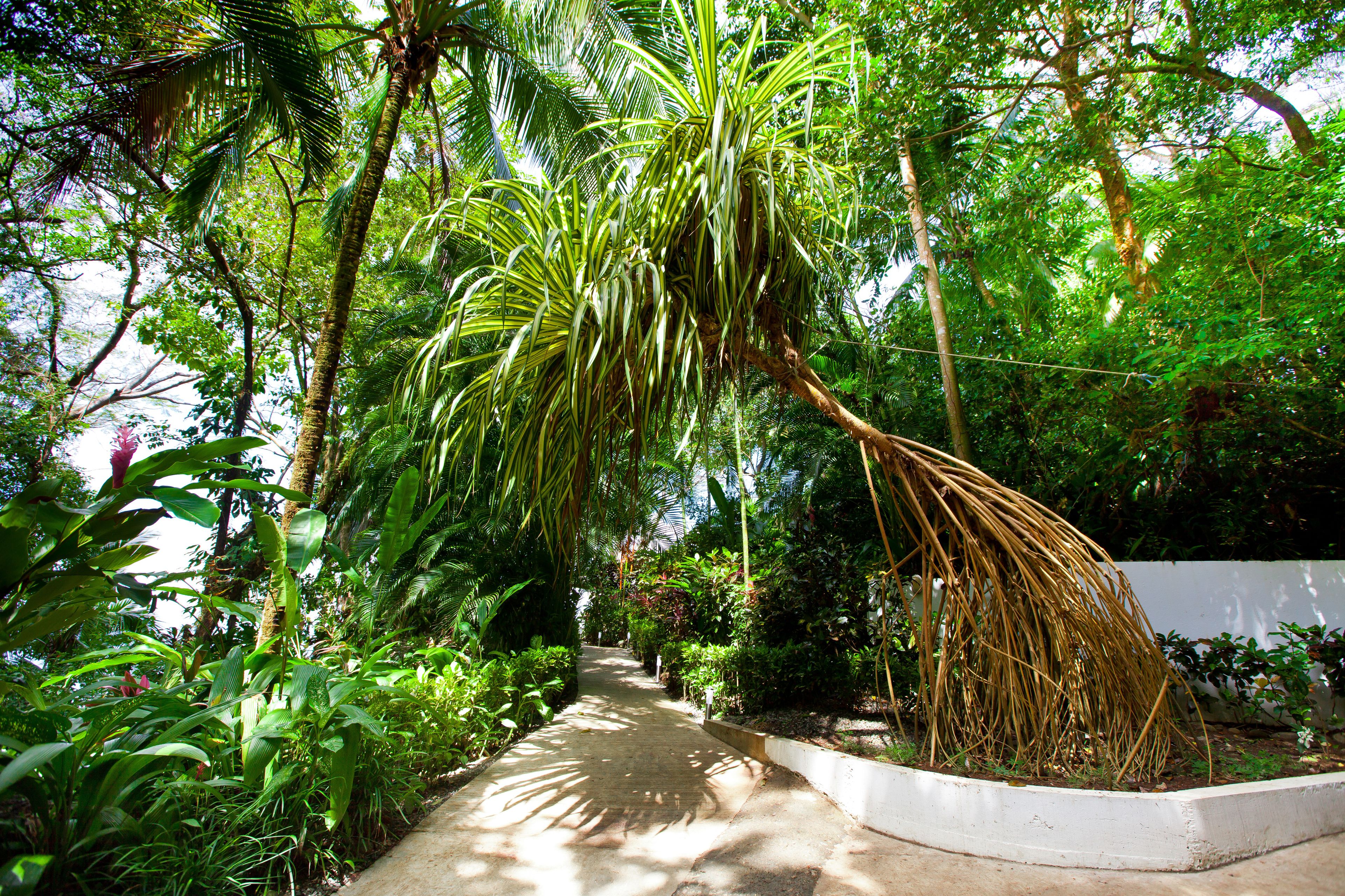 Makanda by The Sea Hotel Makanda by The Sea Hotel