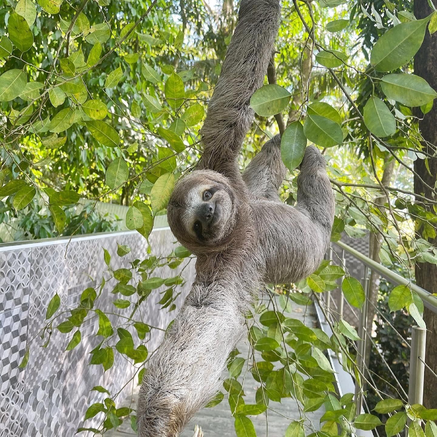 Makanda by The Sea Hotel Makanda by The Sea Hotel