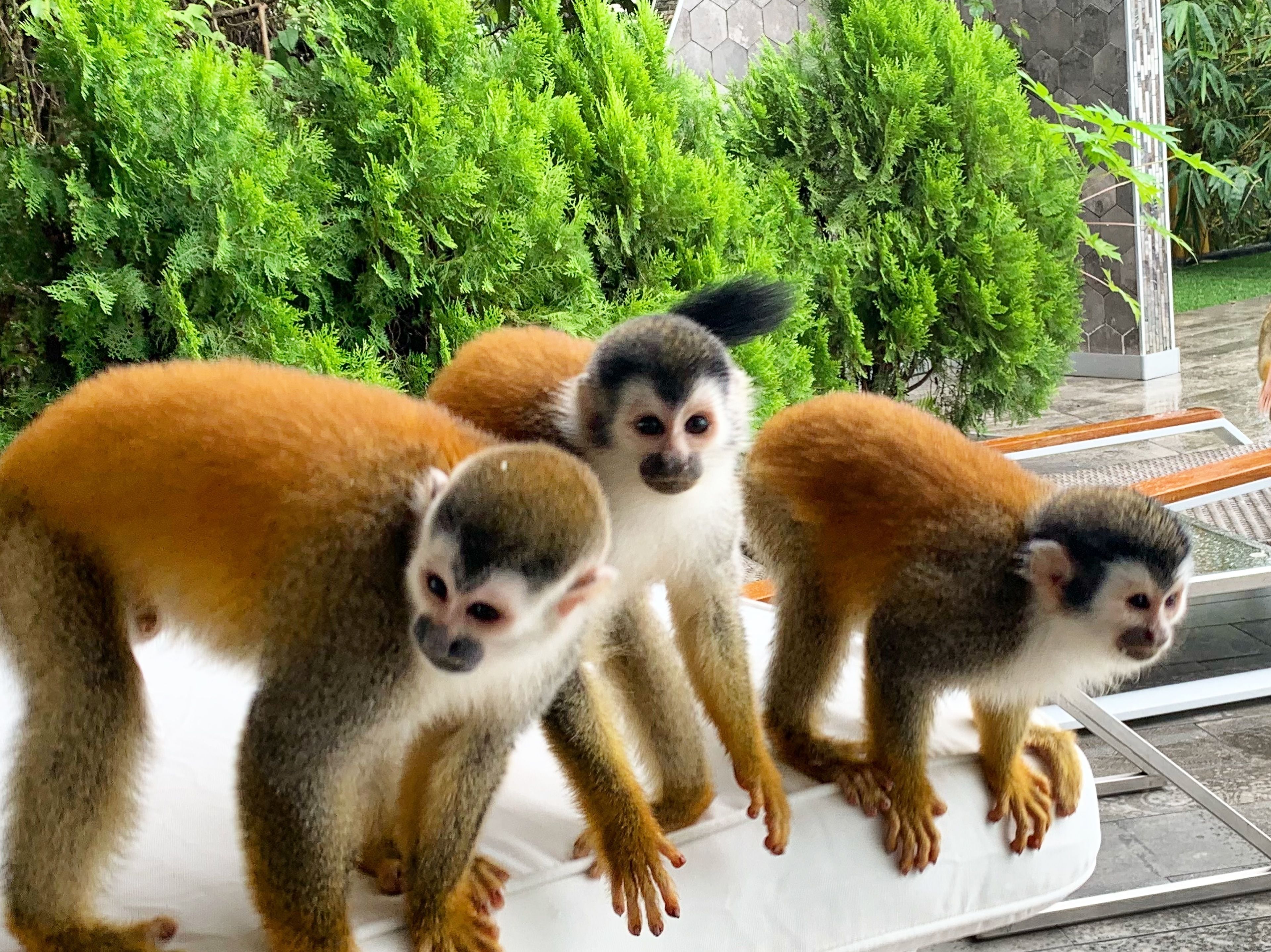 Makanda by The Sea Hotel Makanda by The Sea Hotel