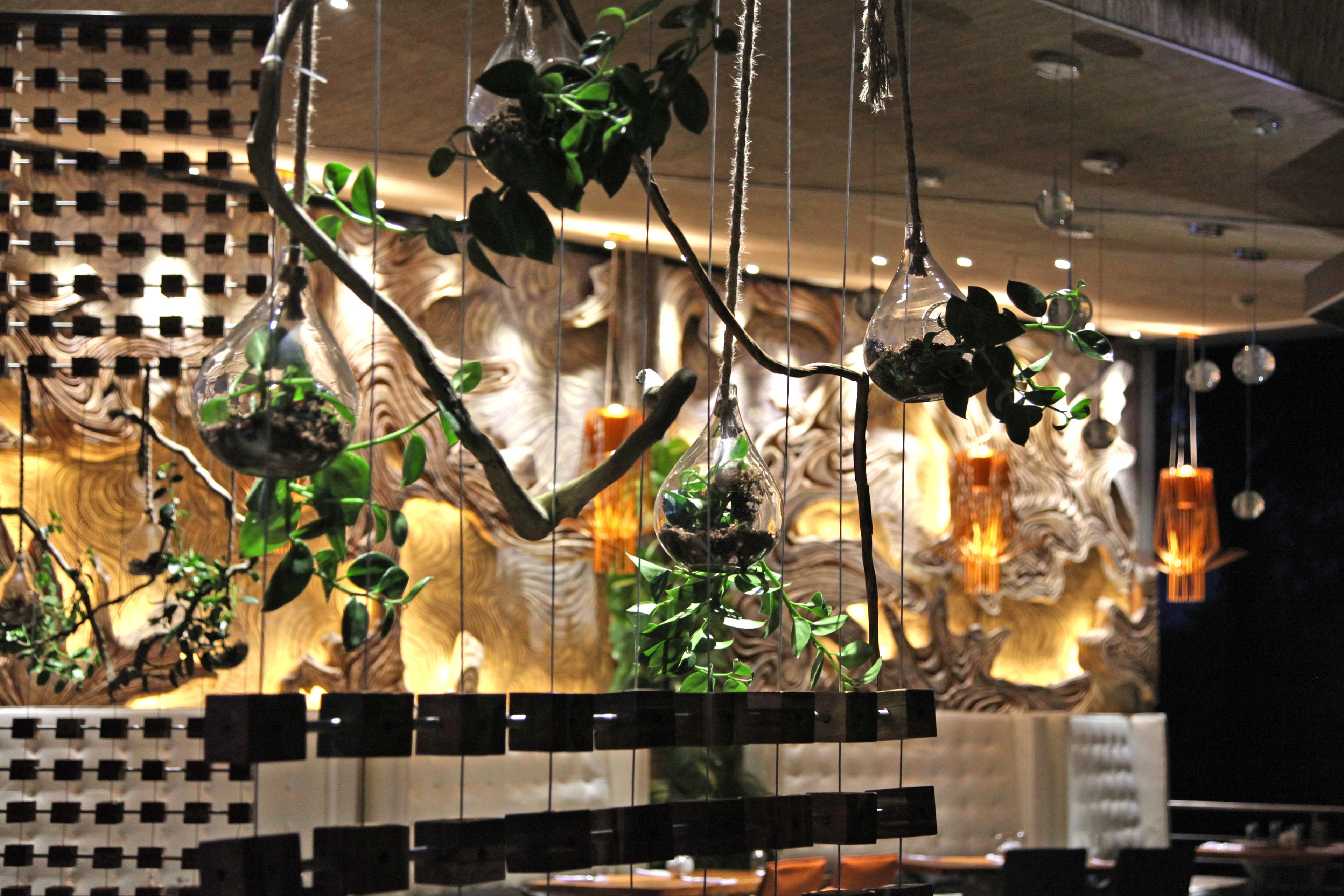 Makanda by The Sea Hotel Makanda by The Sea Hotel