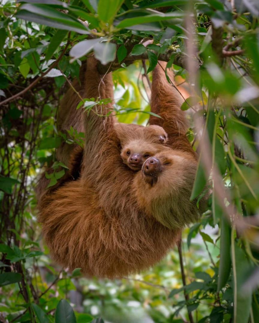 Makanda by The Sea Hotel Makanda by The Sea Hotel