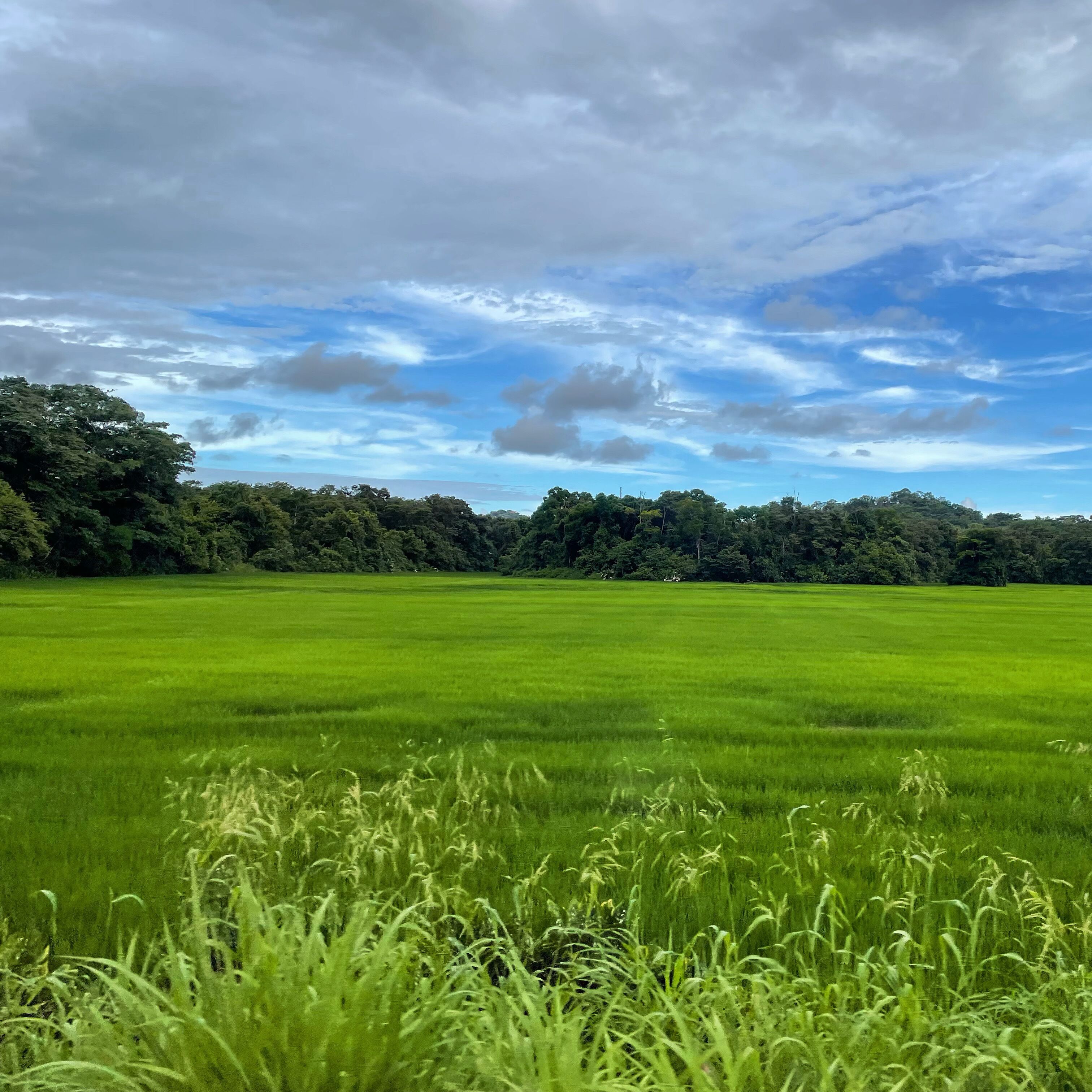Shana by The Beach Manuel Antonio Shana by The Beach Manuel Antonio