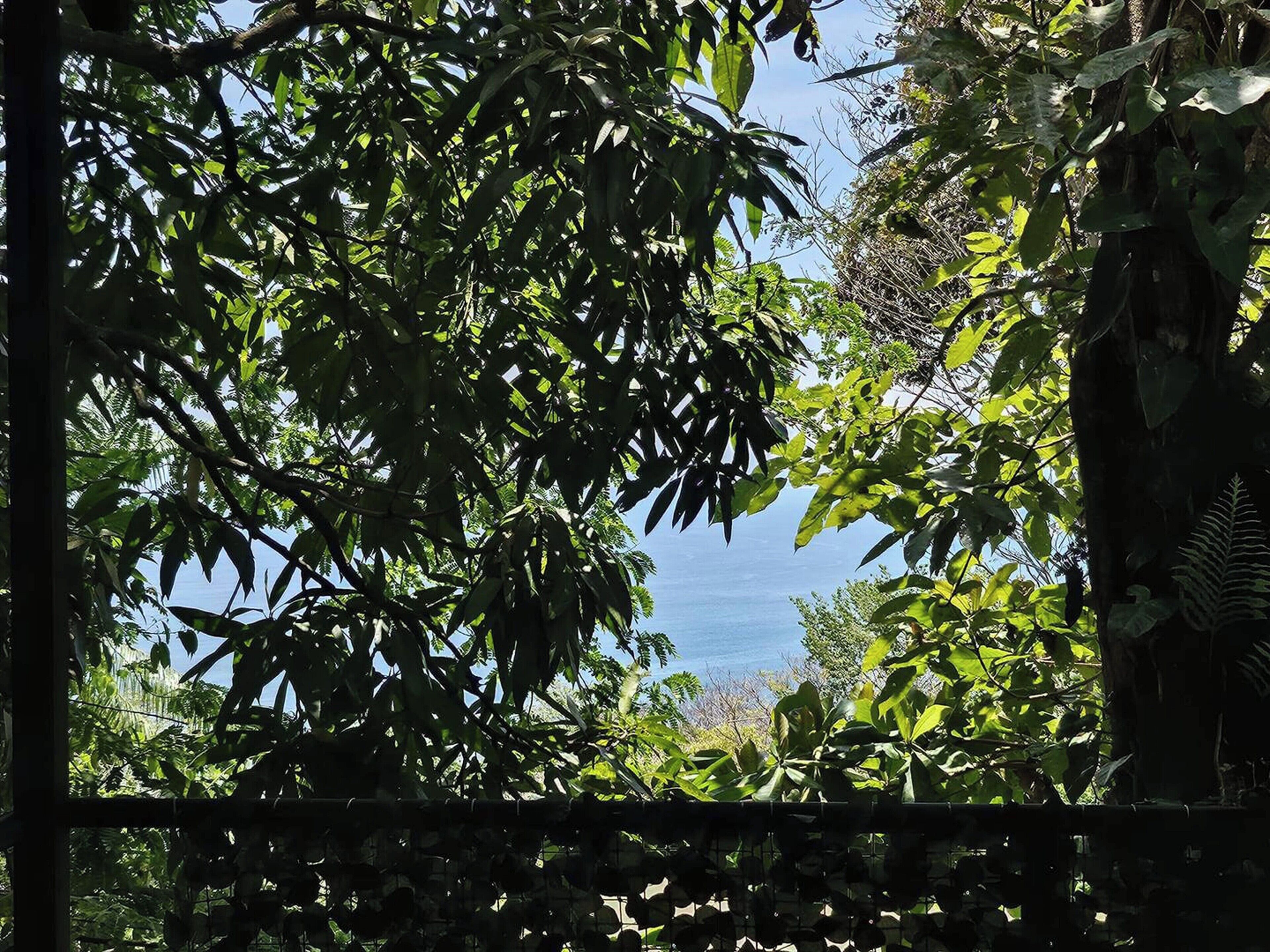 Villa Mango Moon Villa Mango Moon