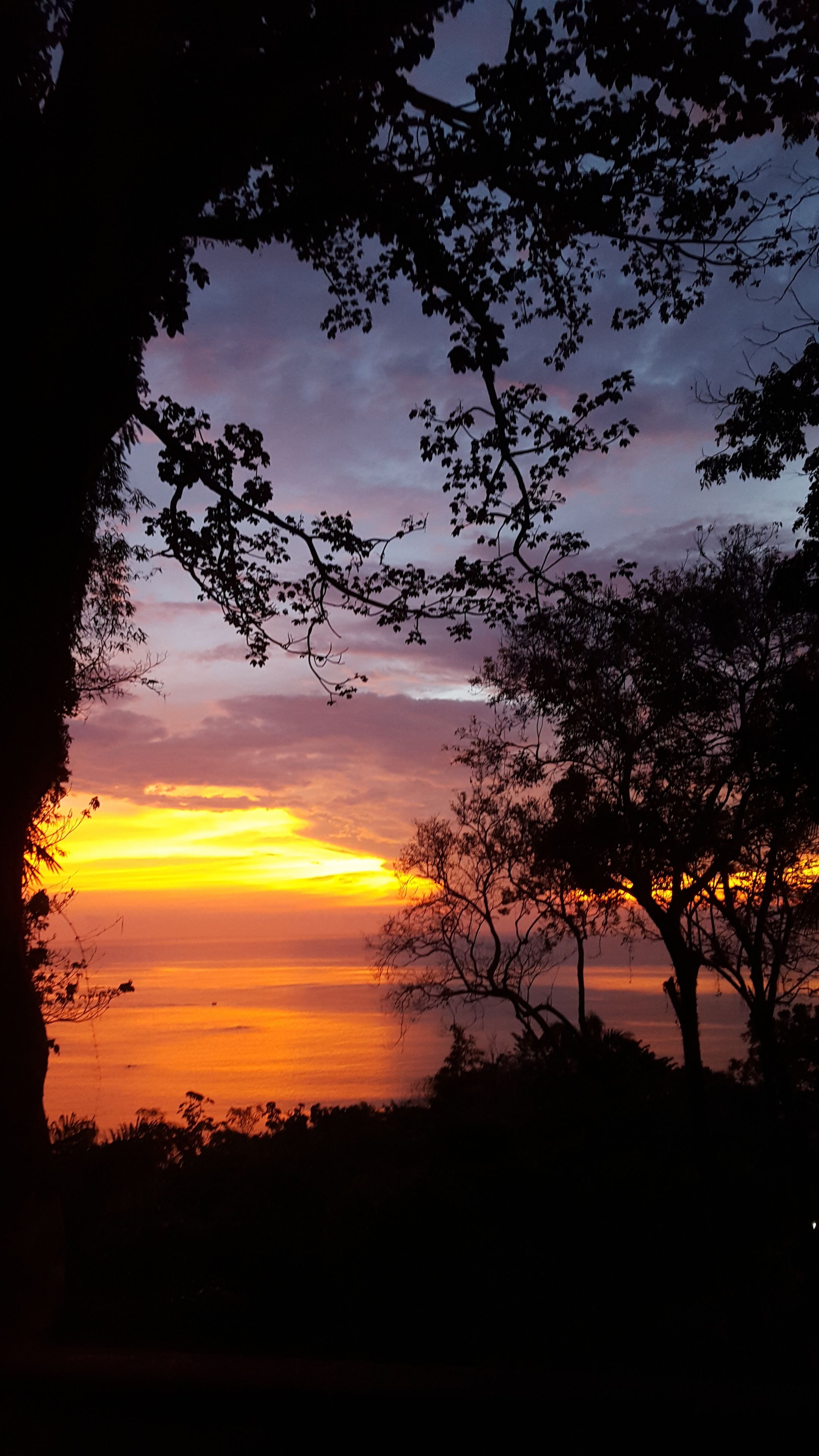 Villa Mango Moon Villa Mango Moon