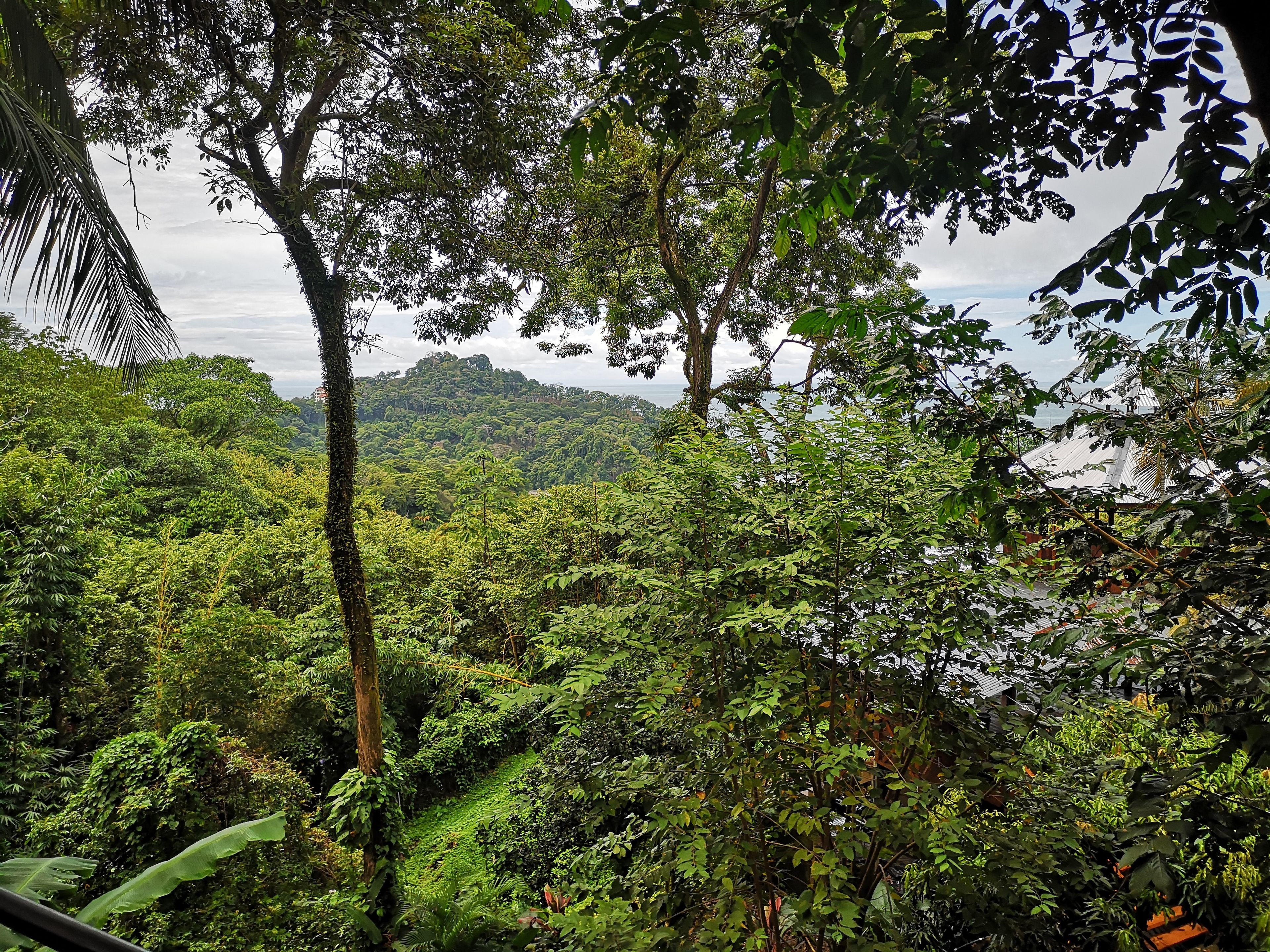 Villa Mango Moon Villa Mango Moon