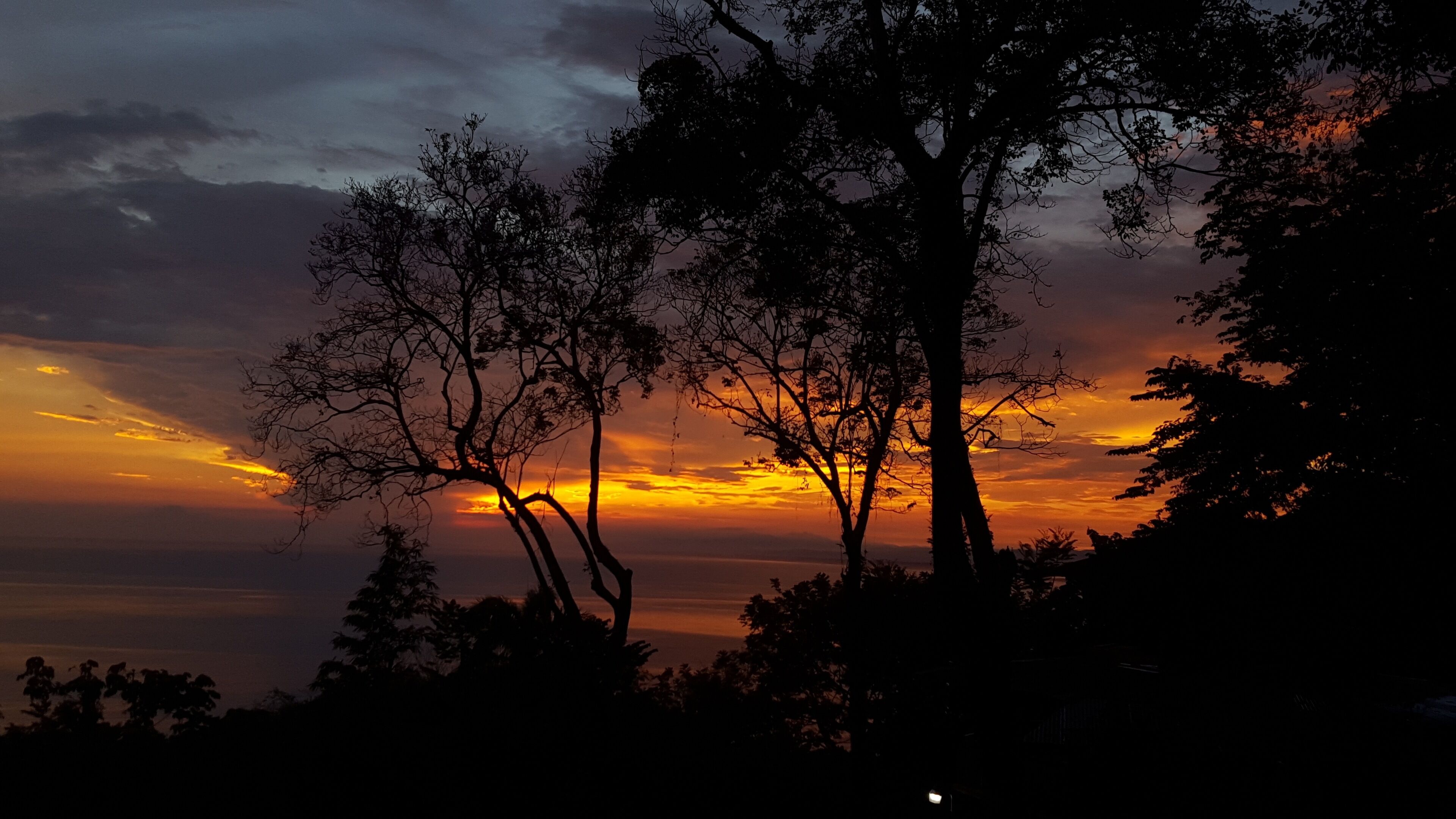 Villa Mango Moon Villa Mango Moon