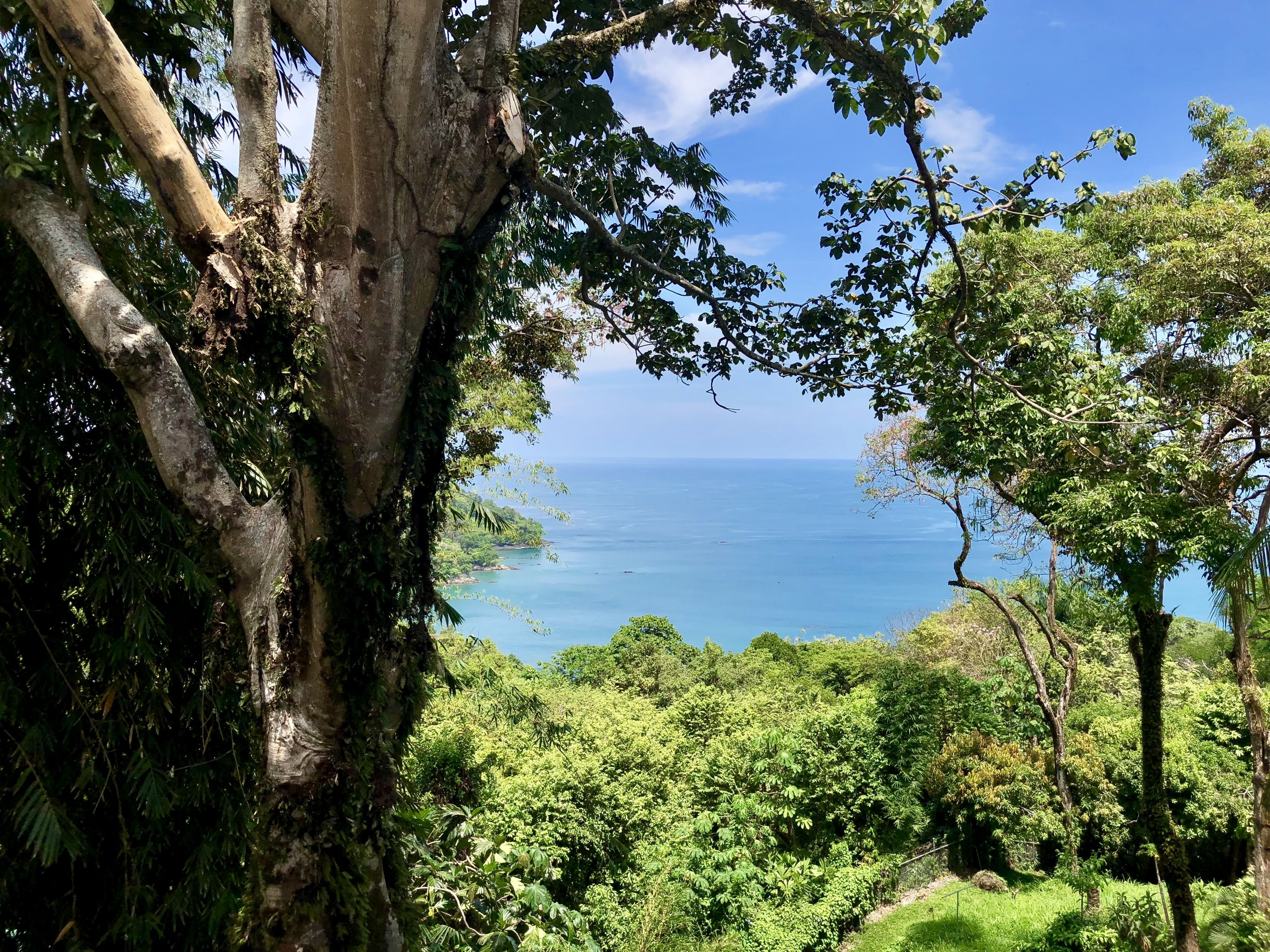 Villa Mango Moon Villa Mango Moon