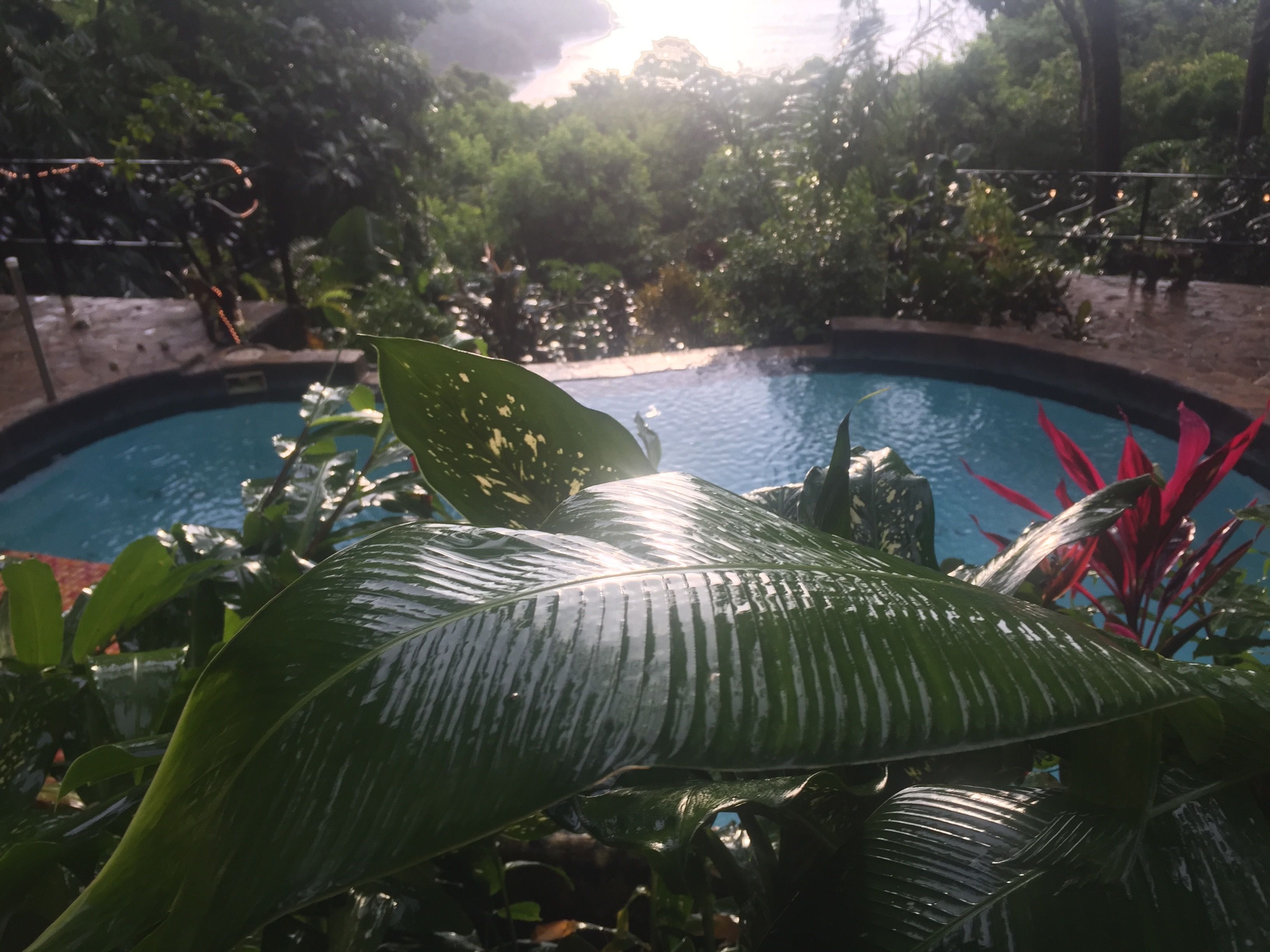 Villa Mango Moon Villa Mango Moon