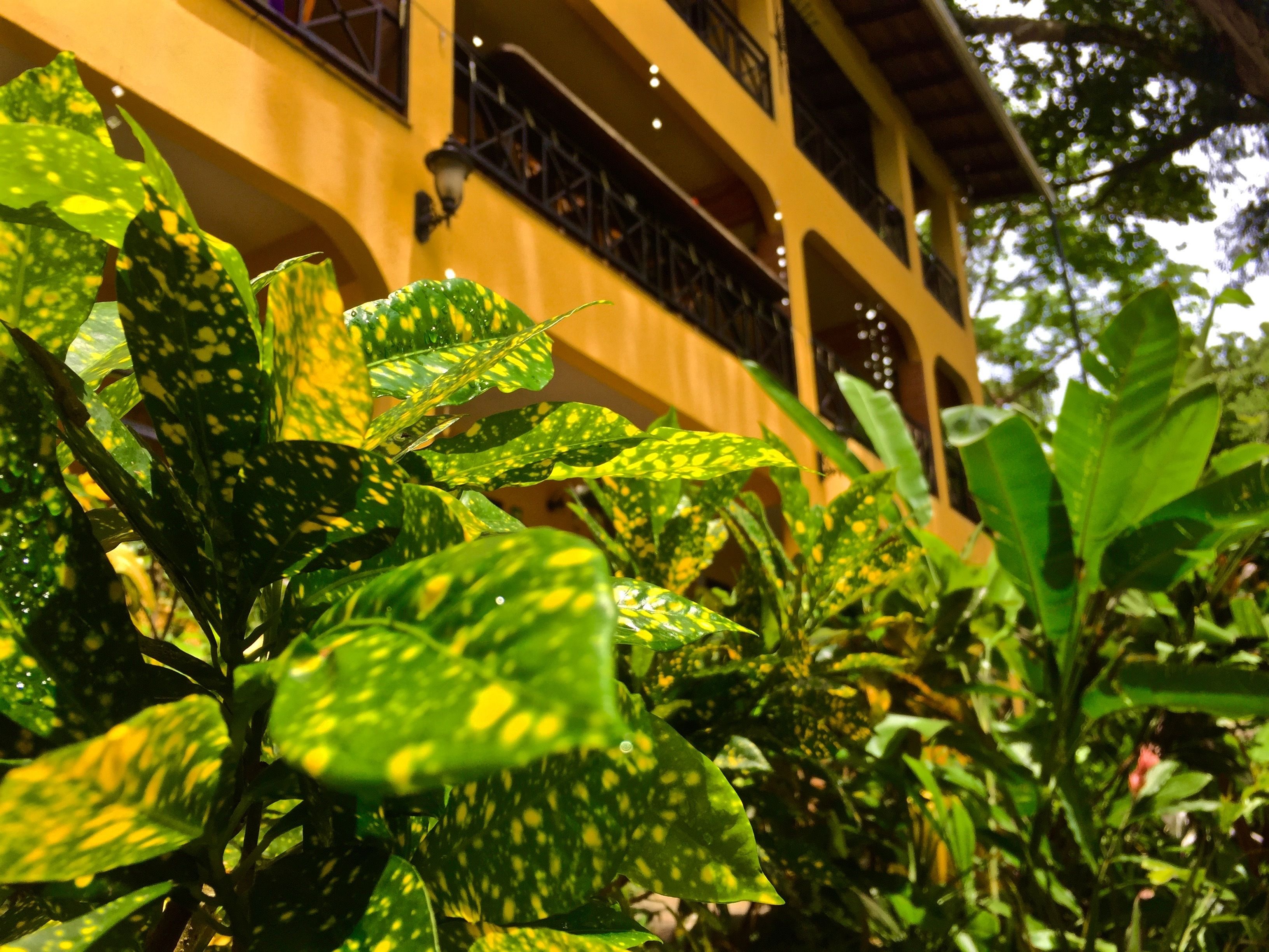 Villa Mango Moon Villa Mango Moon