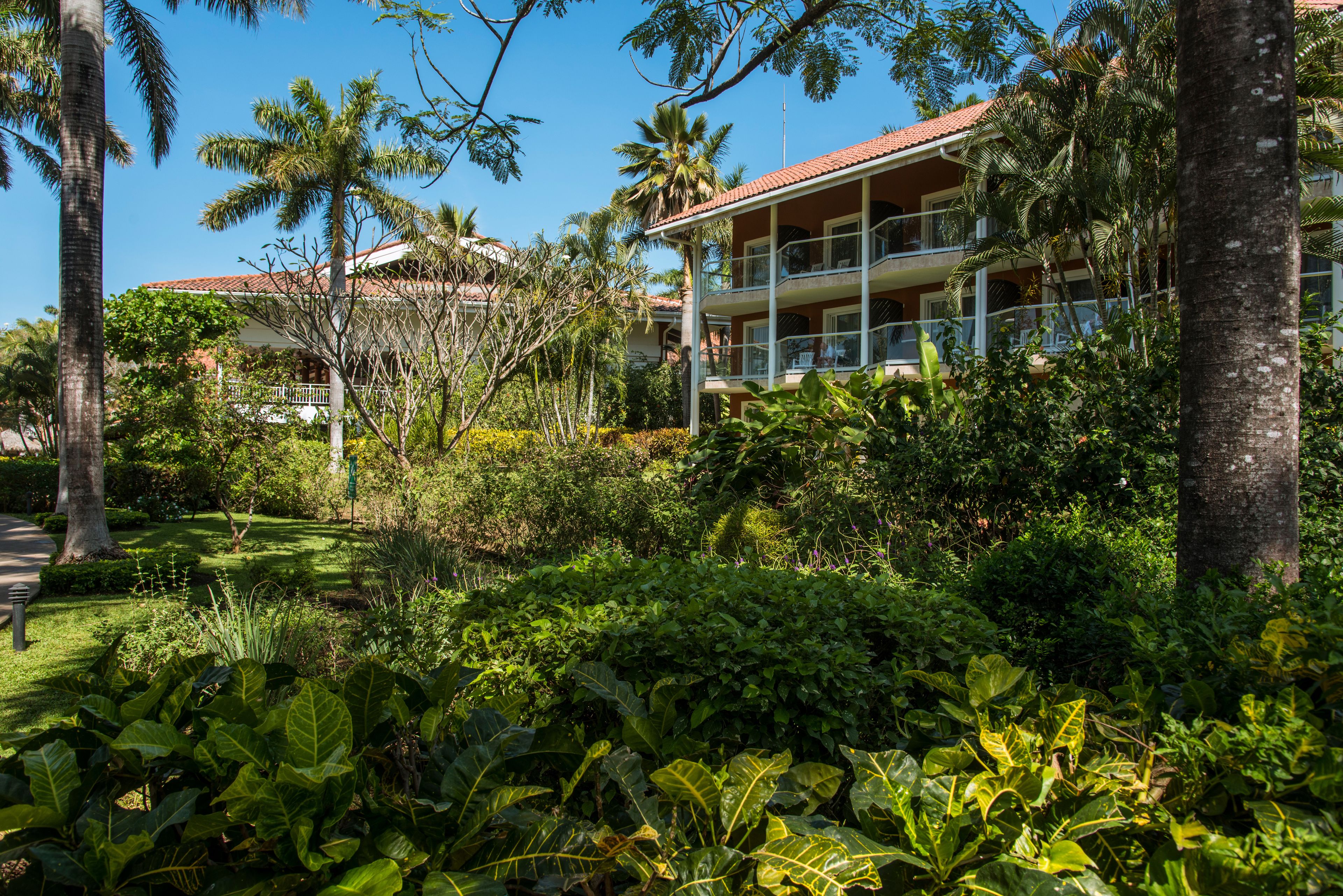 Occidental Tamarindo