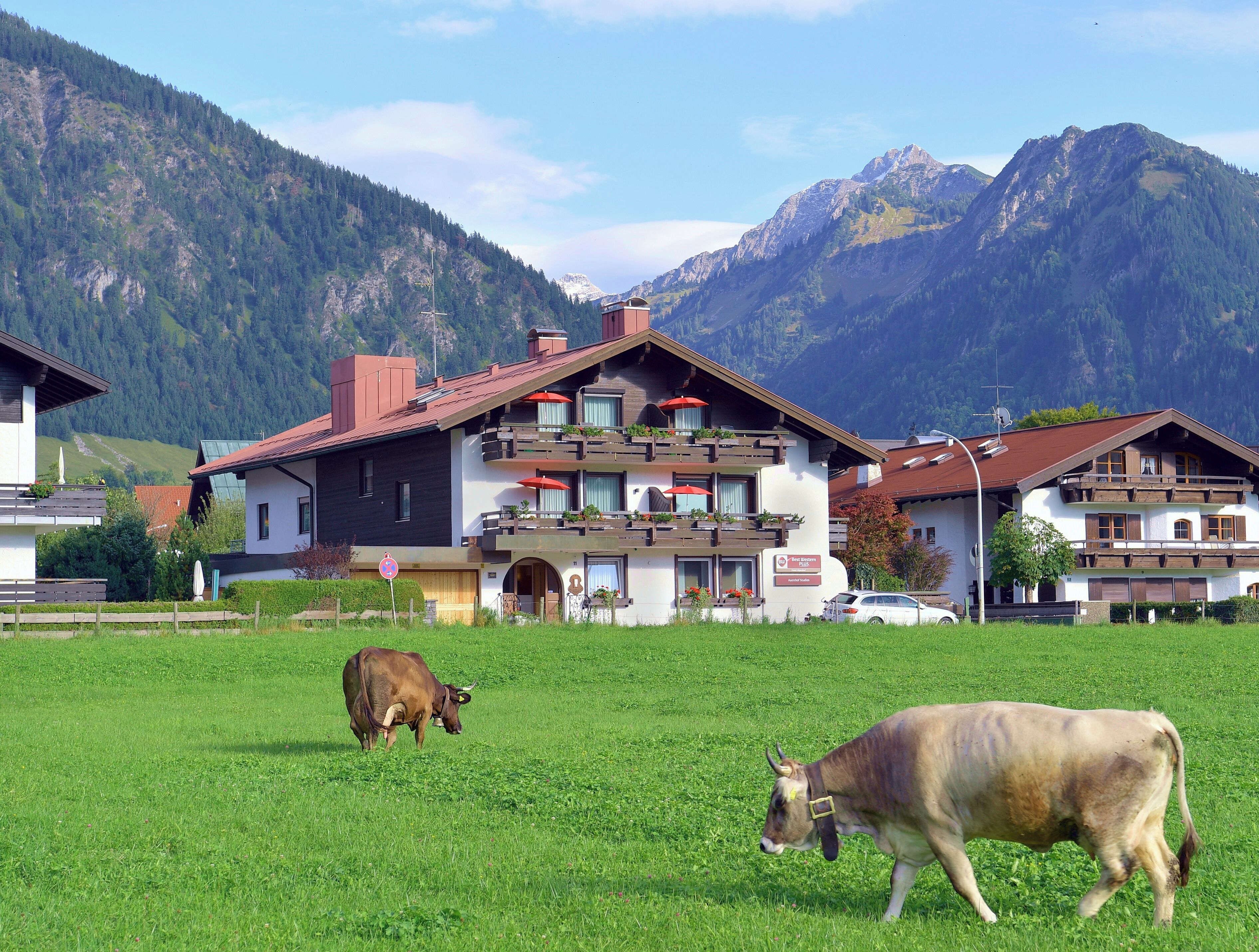 Best Western Plus Hotel Alpenhof