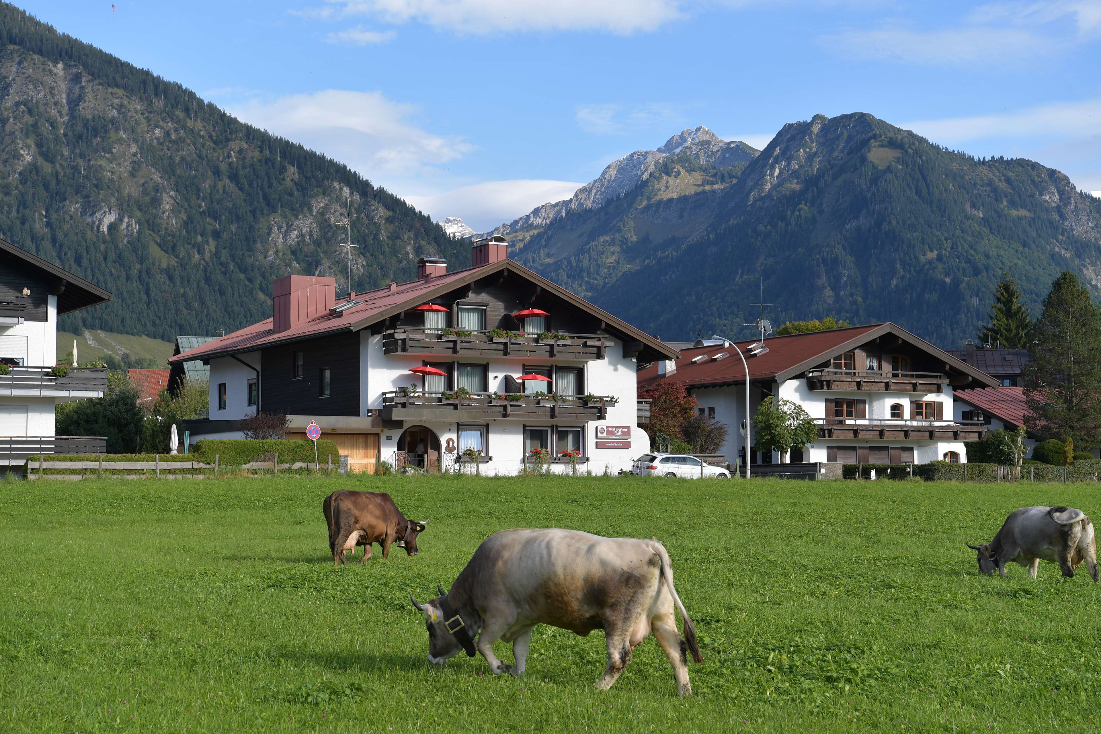 Best Western Plus Hotel Alpenhof