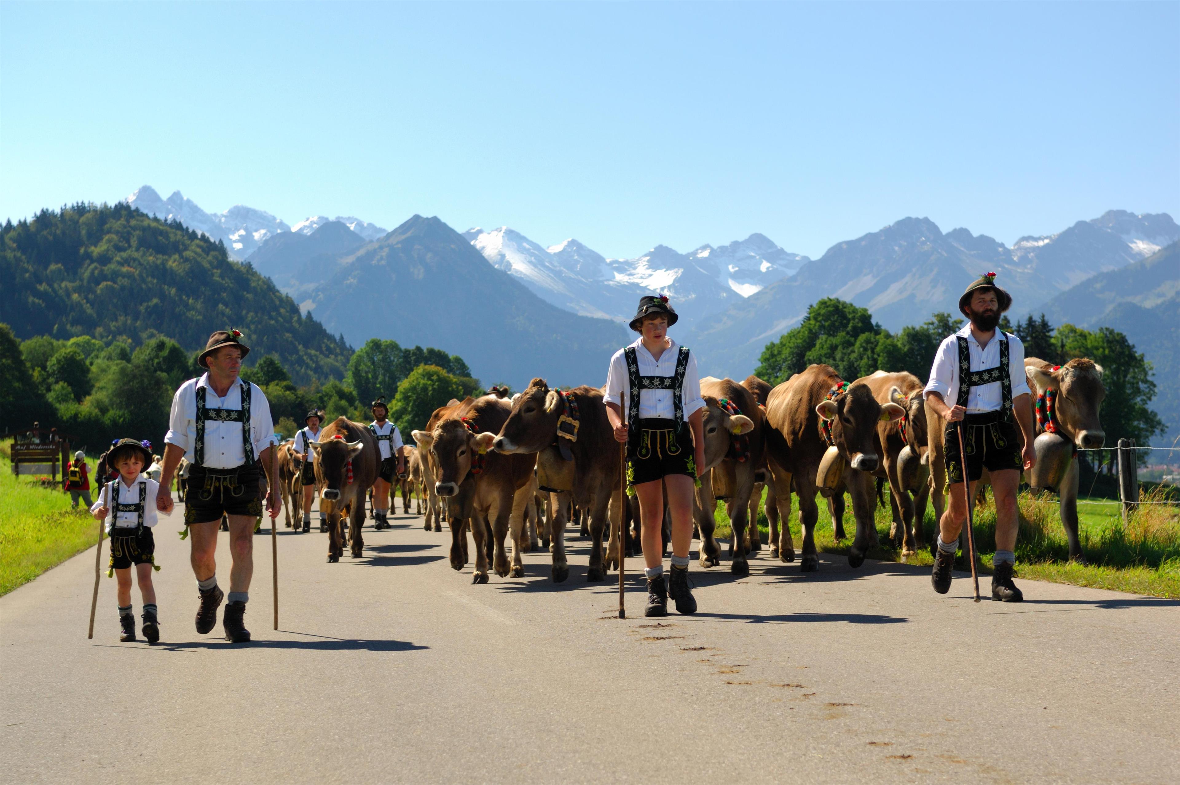 Best Western Plus Hotel Alpenhof