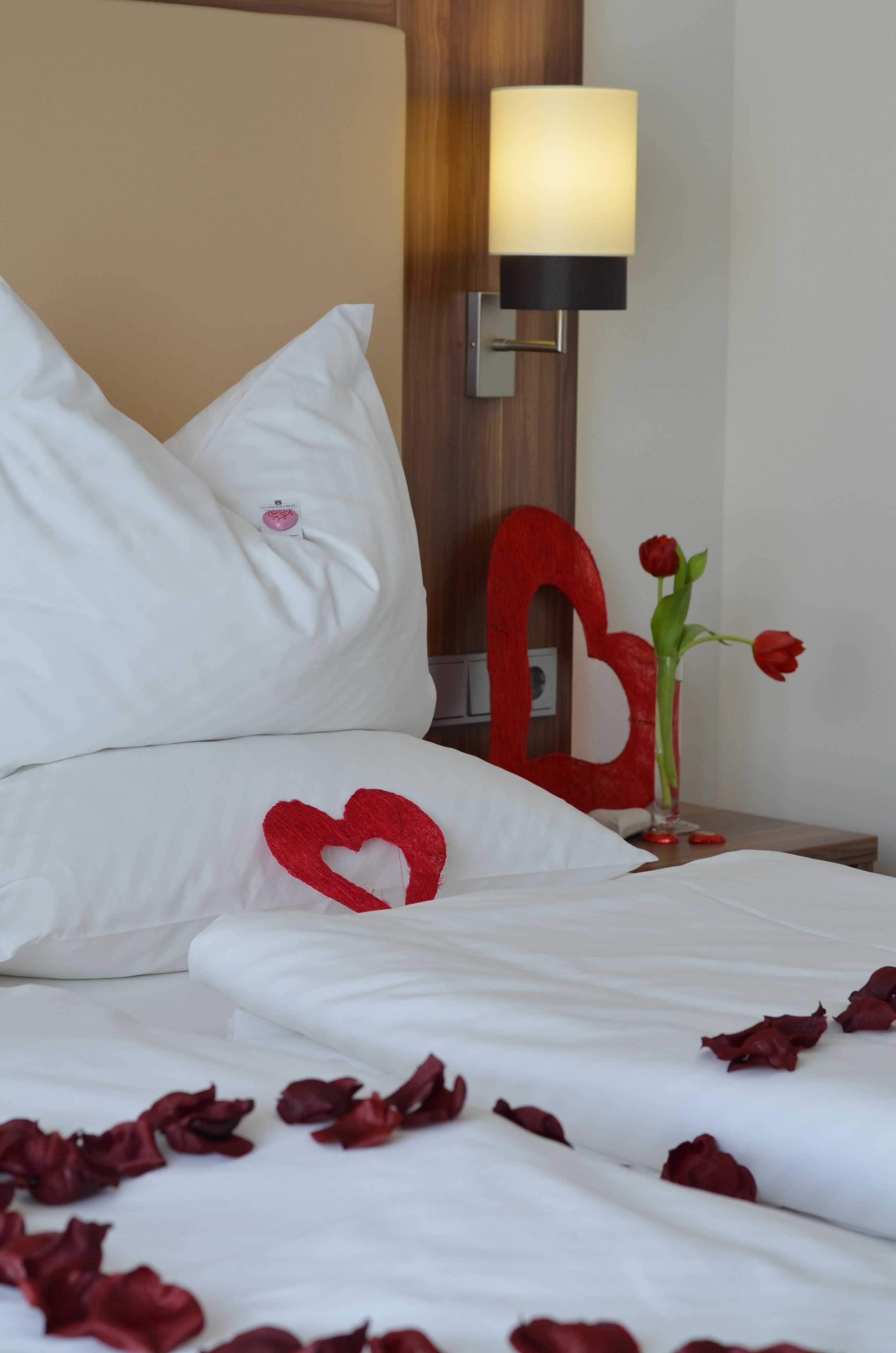 Neu Heidelberg Wohlfühl-Hotel Neu Heidelberg Wohlfühl-Hotel
