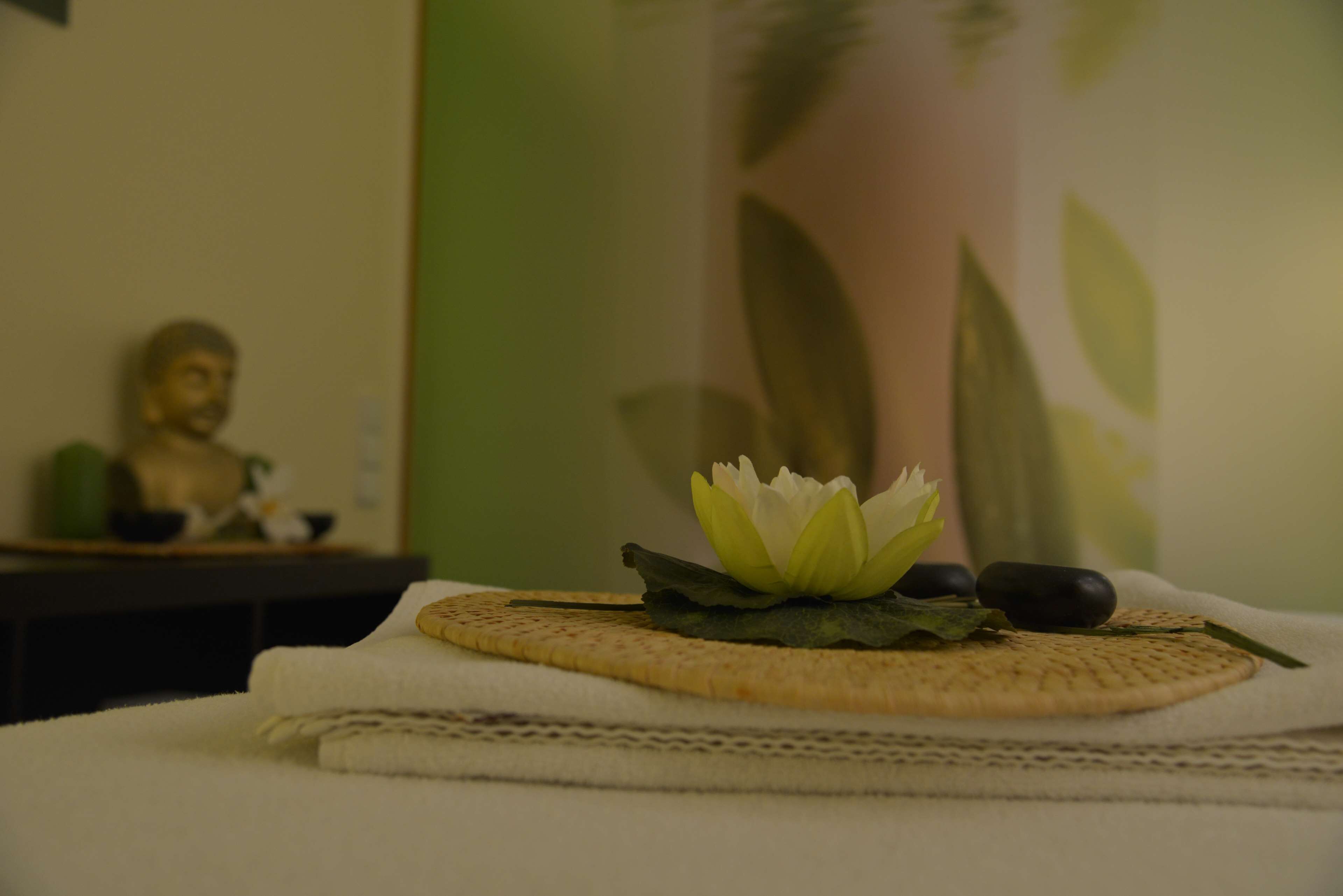 Best Western Plus Palatin Hotel Best Western Plus Palatin Hotel